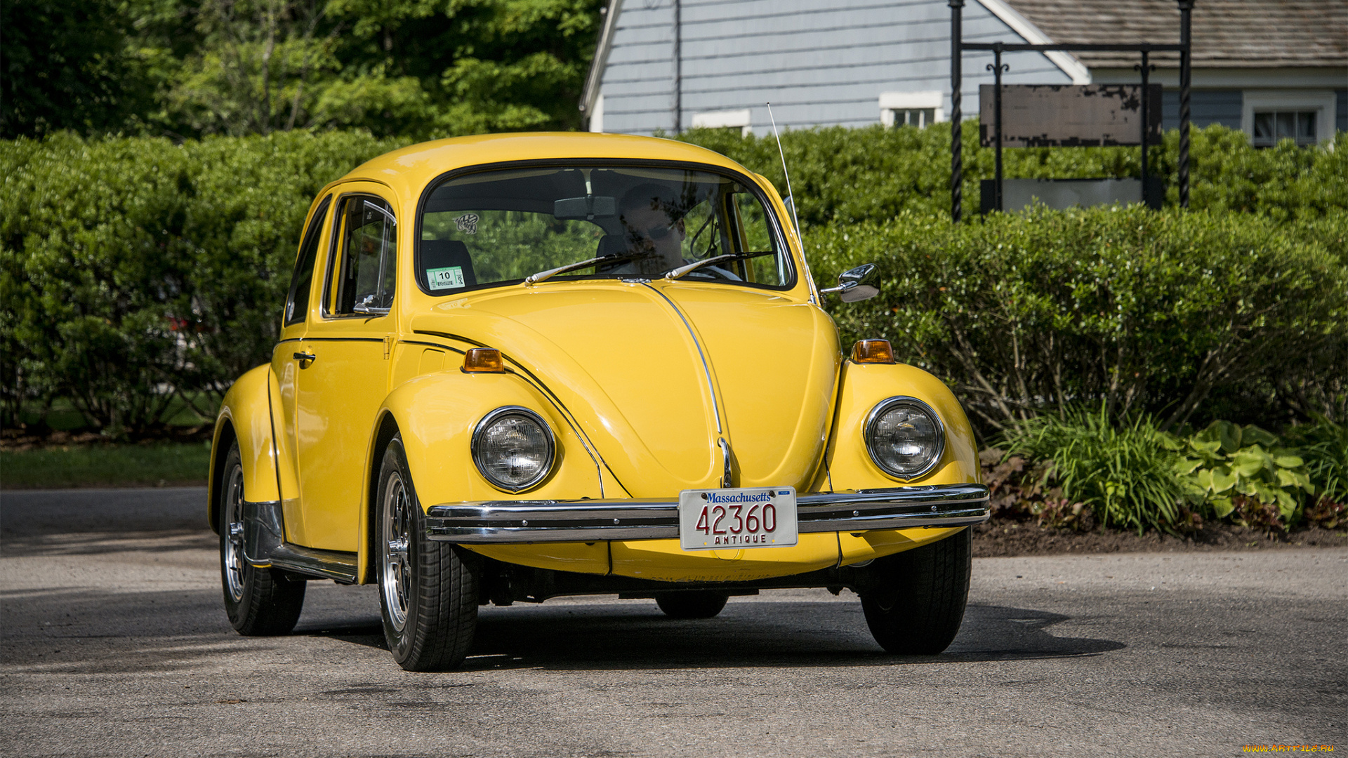 vw, beetle, автомобили, volkswagen, автопробег, выставка, автошоу