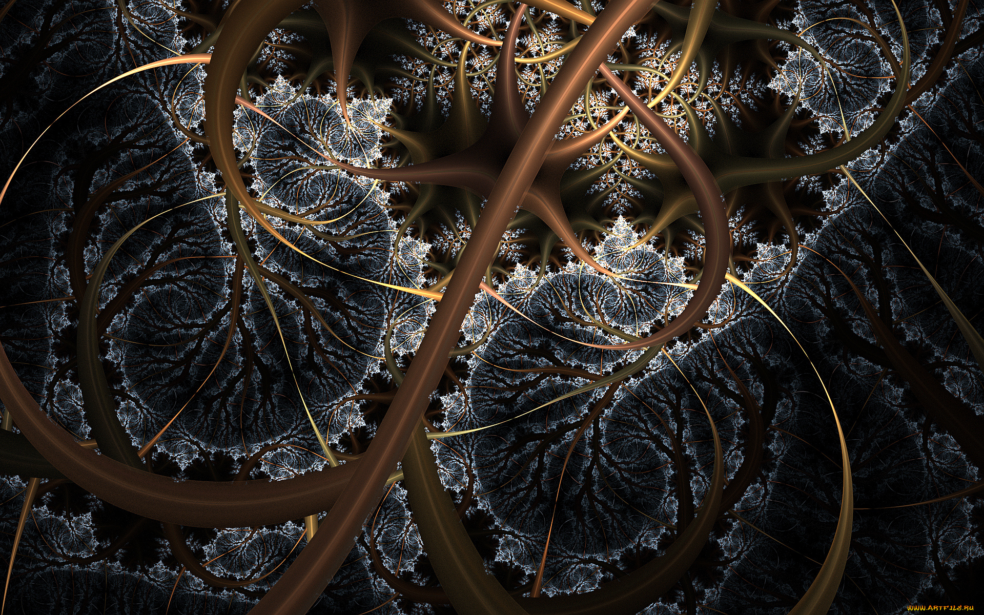 3д, графика, фракталы, , fractal, узор, цвета, фон