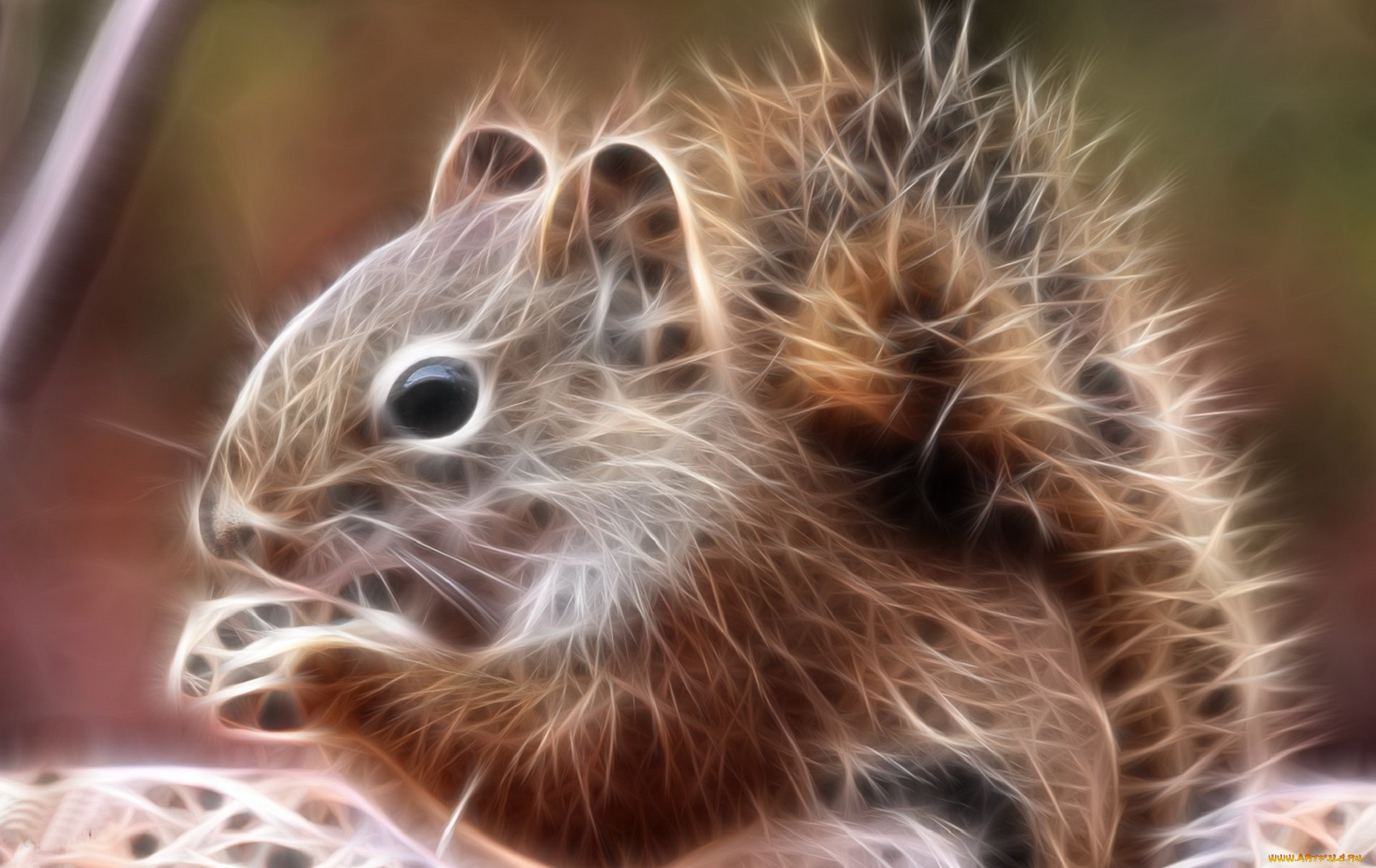 3д, графика, животные, , animals, белка