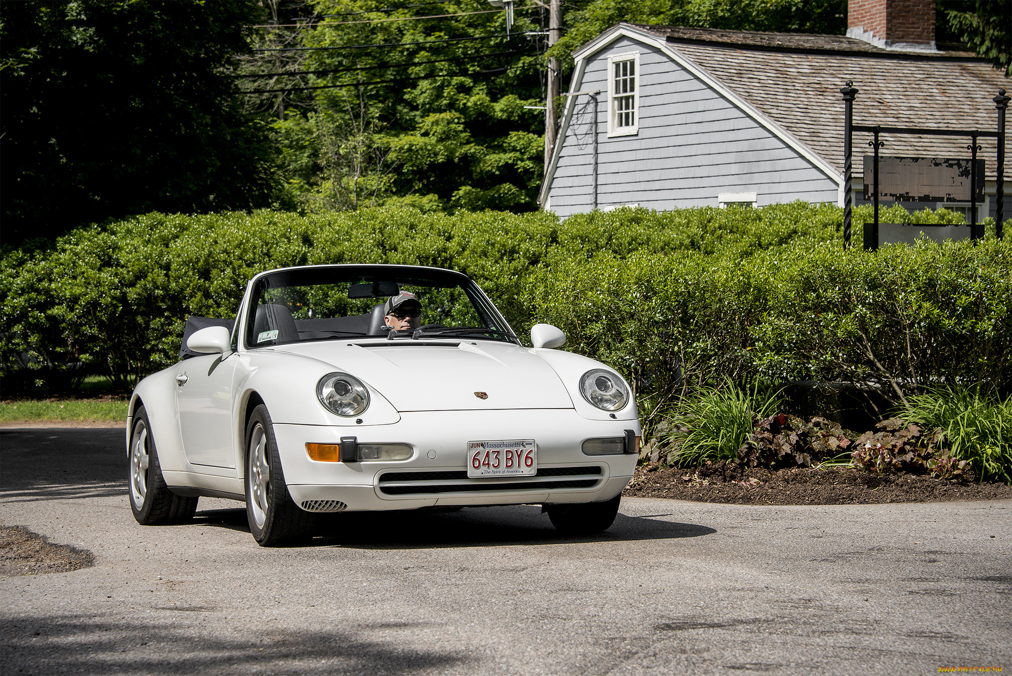 porsche, 911, автомобили, porsche, макросъемка, насекомое