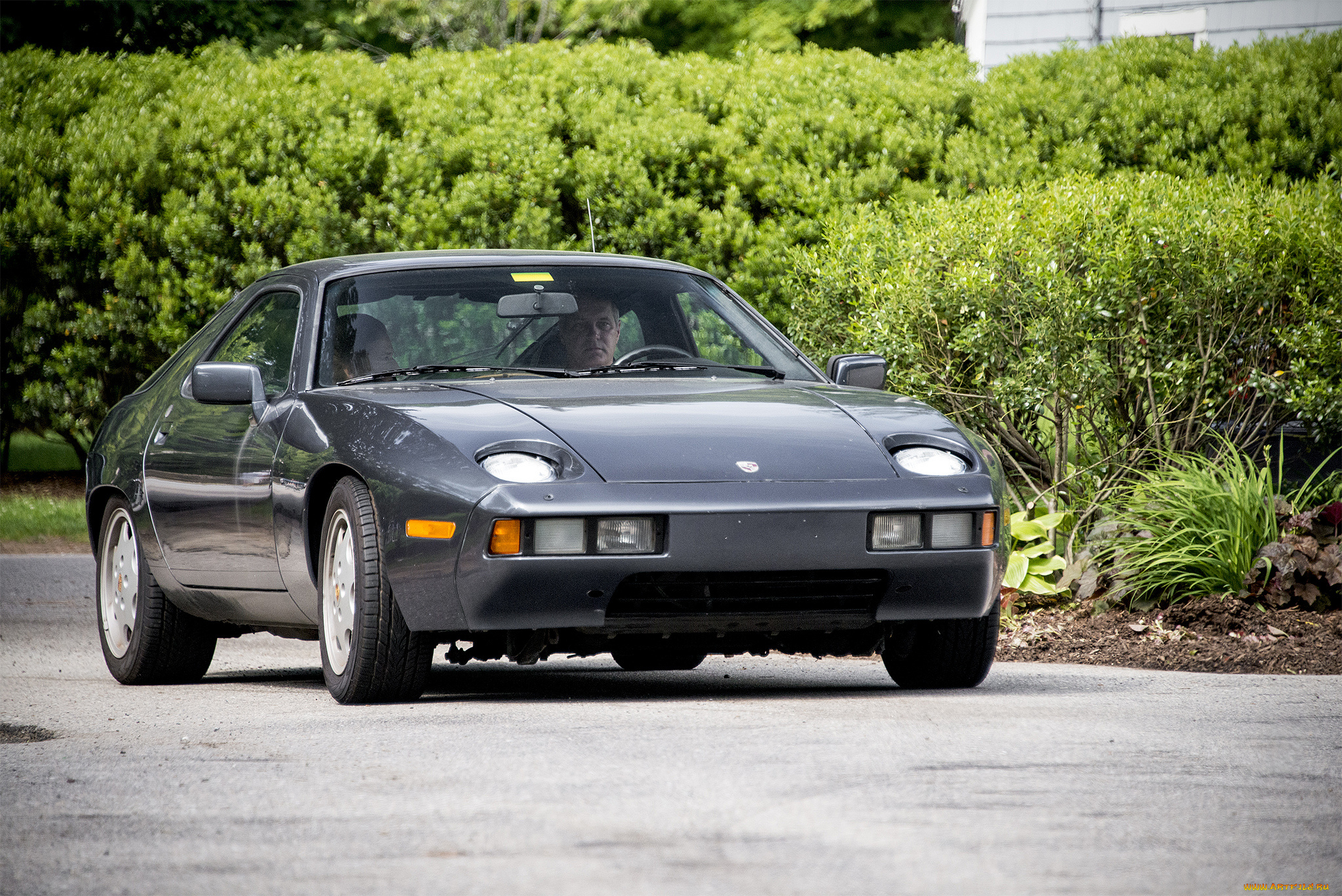 porsche, 928, автомобили, porsche, автошоу, выставка, автопробег