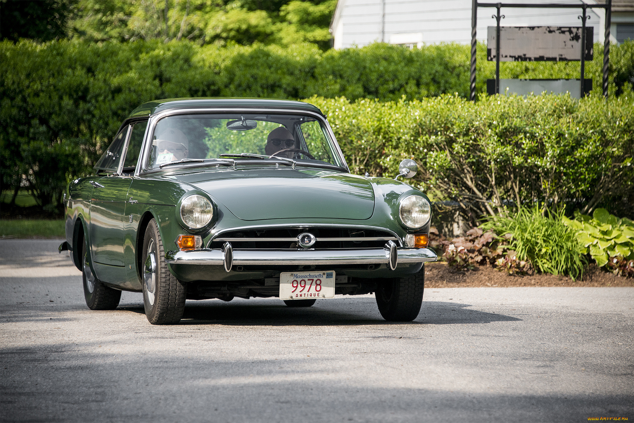 sunbeam, tiger, автомобили, sunbeam, автопробег, выставка, автошоу