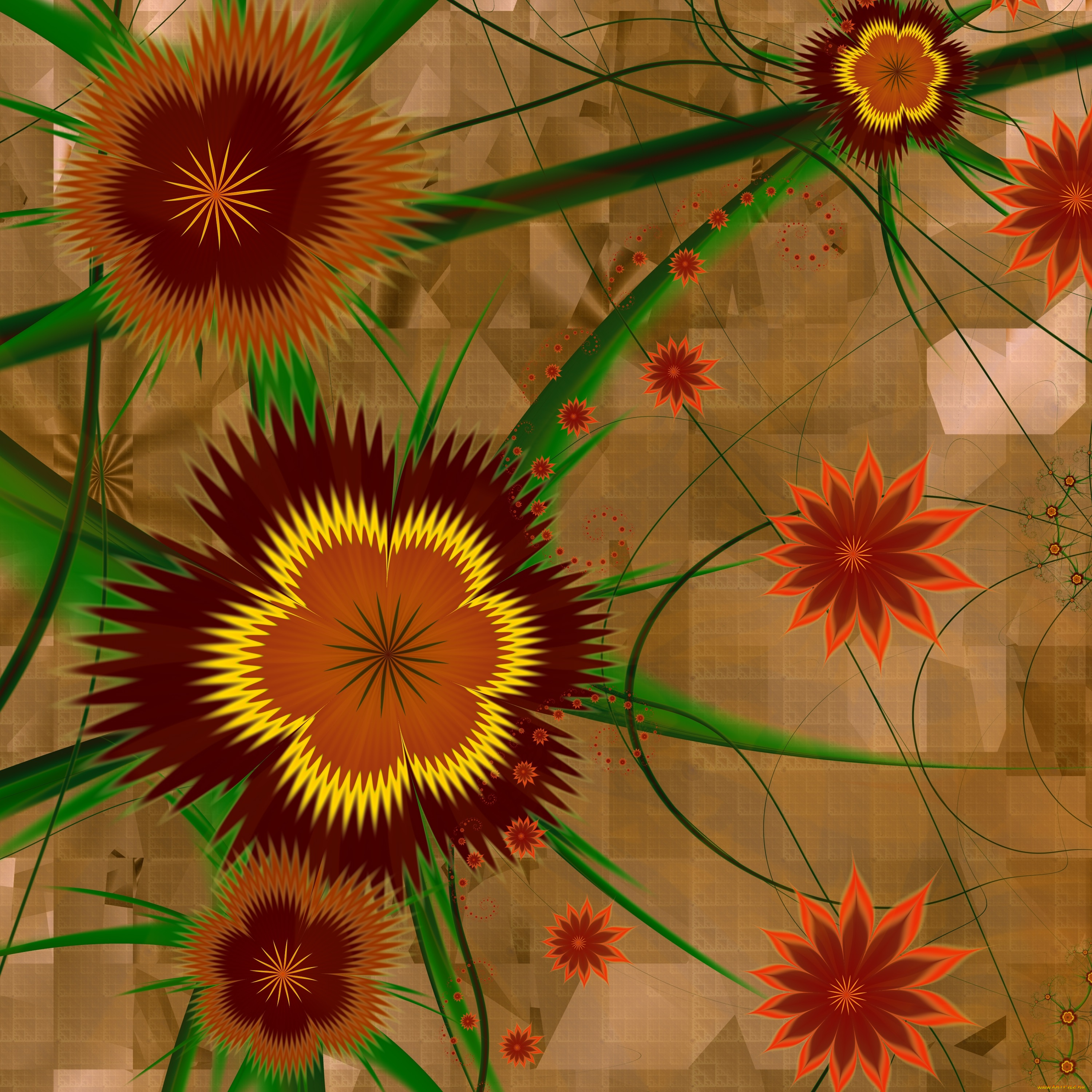 3д, графика, цветы, , flowers, цвета, фон, узор