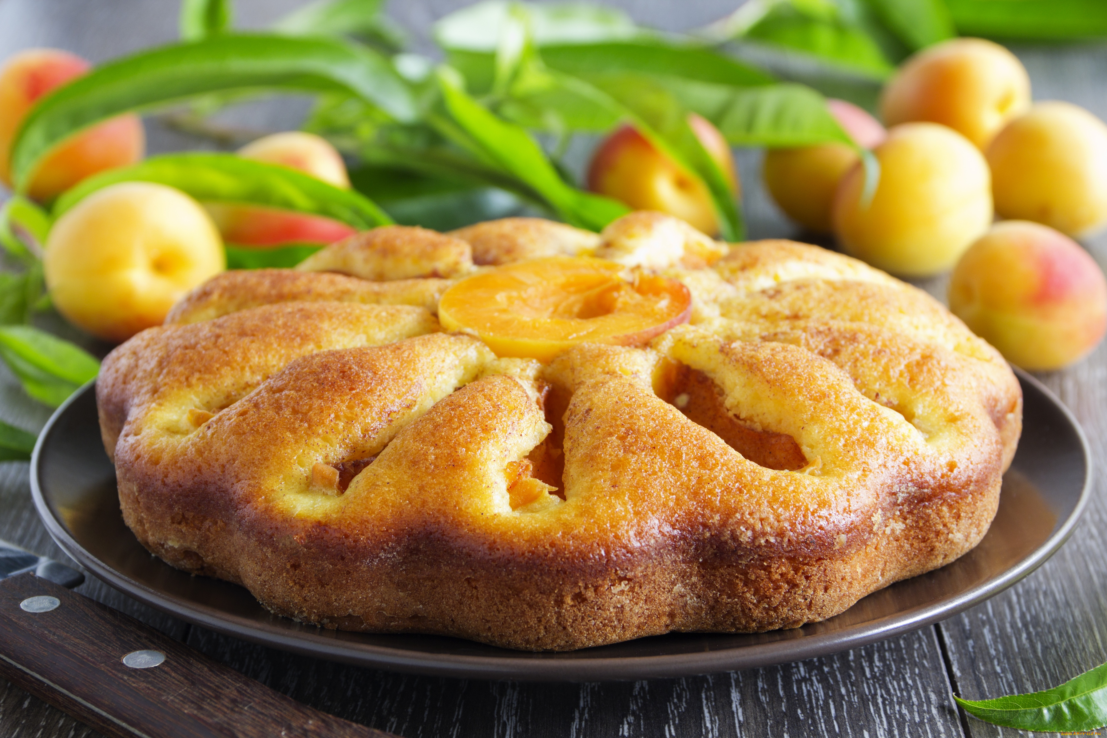 еда, пироги, абрикосы