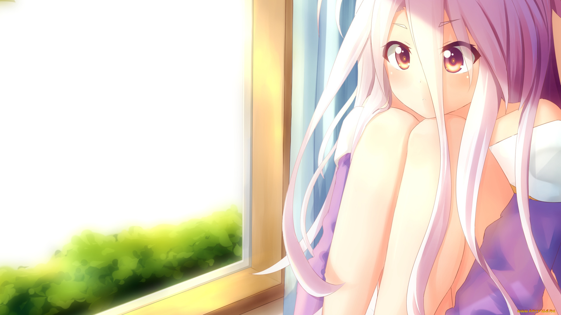 аниме, no, game, no, life, shiro, no, game, life, onamae, kun, арт, окно, девочка, розовые, волосы