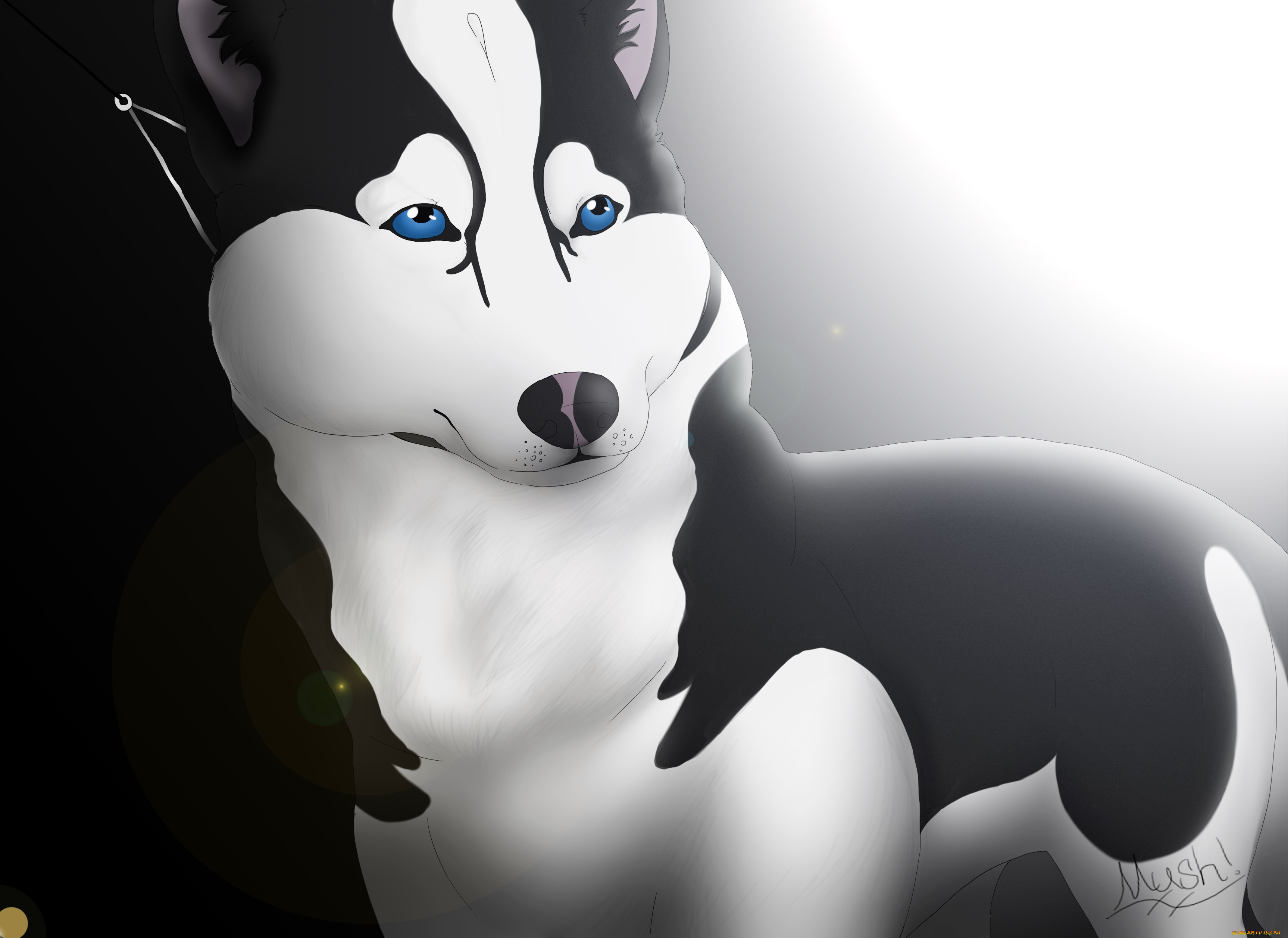 рисованное, животные, , собаки, собака, морда, глаза