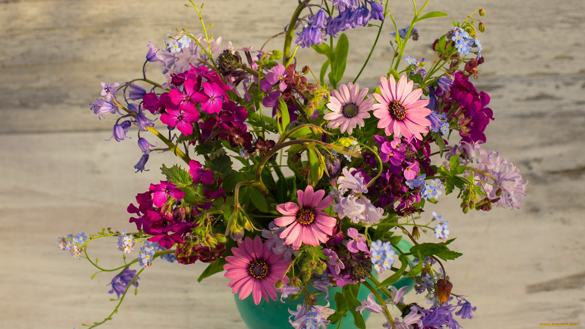 цветы, букеты, , композиции, букет, колокольчики, васильки, незабудки, герань, остеоспермум, лунник