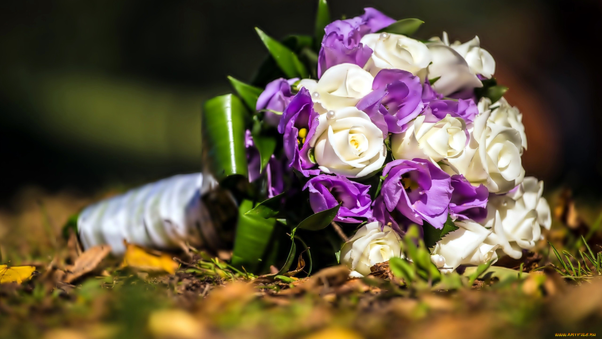 цветы, букеты, , композиции, эустома, розы