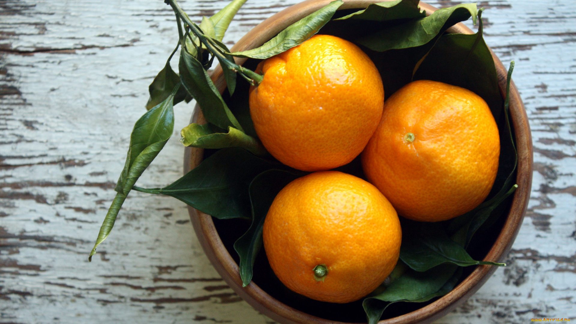 еда, цитрусы, апельсины