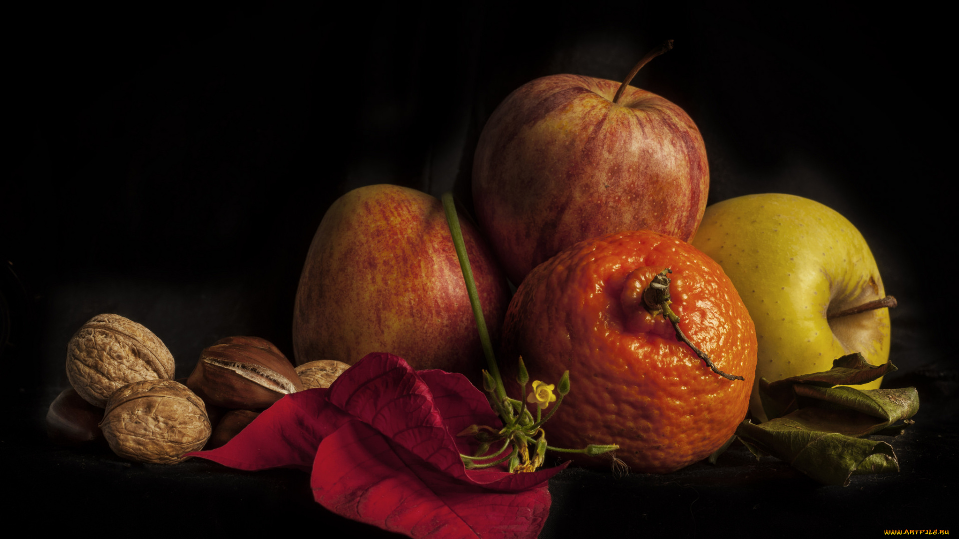 еда, натюрморт, орехи, фрукты