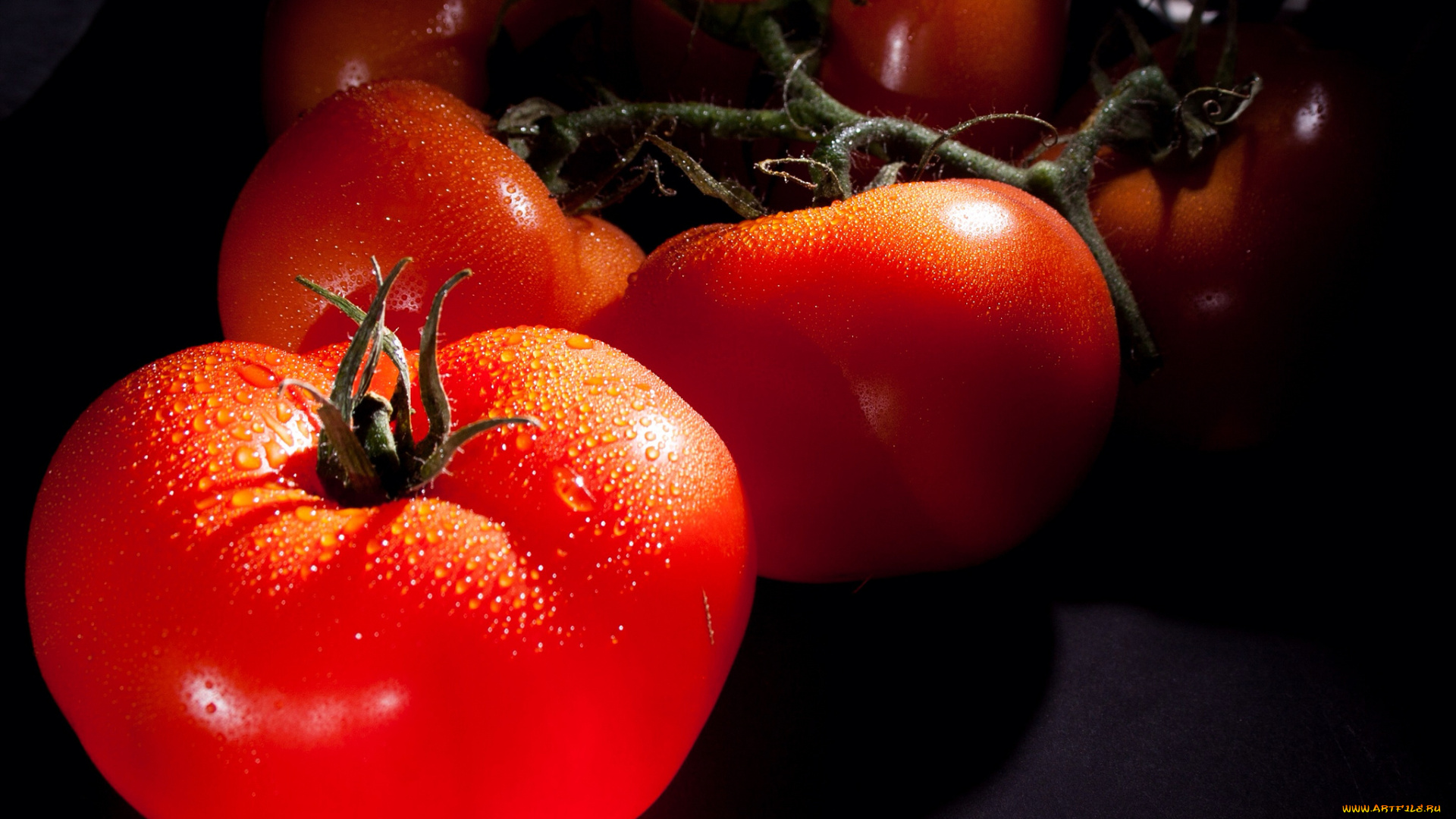 еда, помидоры, томат