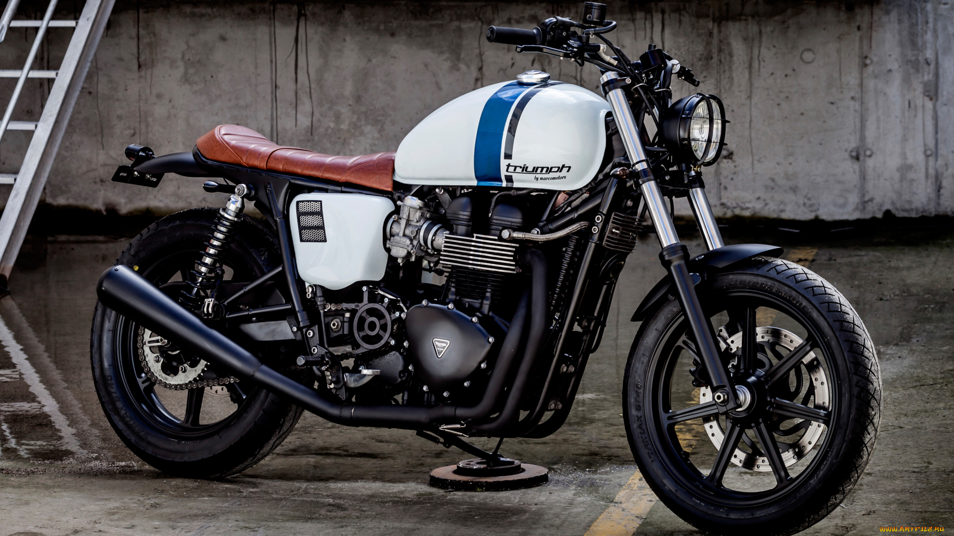 мотоциклы, triumph