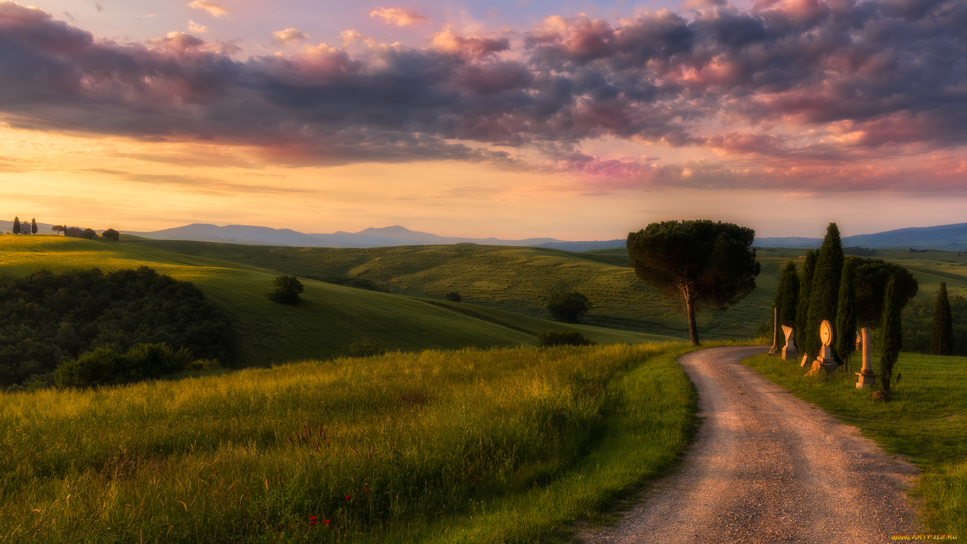 природа, дороги, утро, дорога