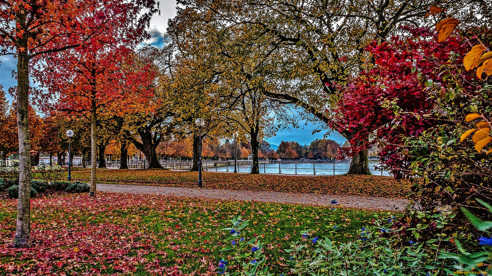 природа, парк, осень