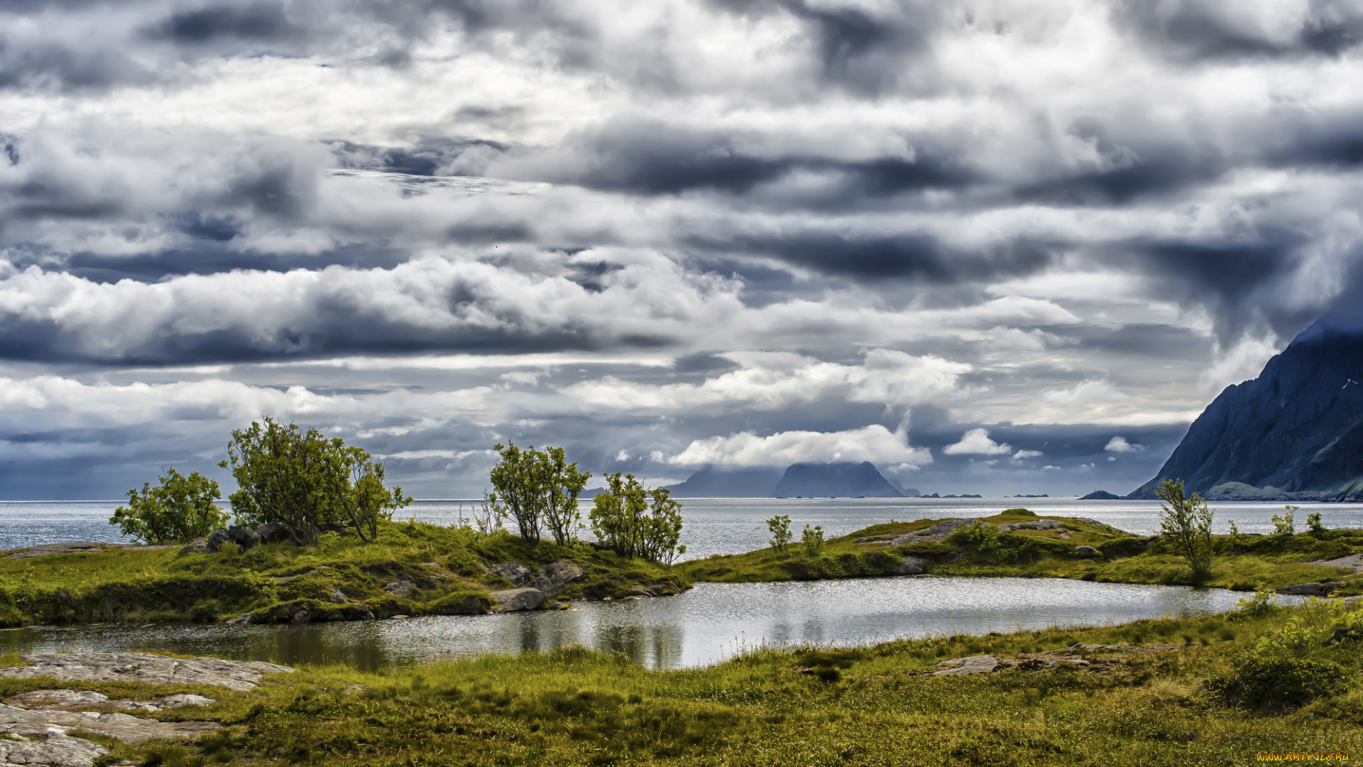 природа, побережье, море, берег