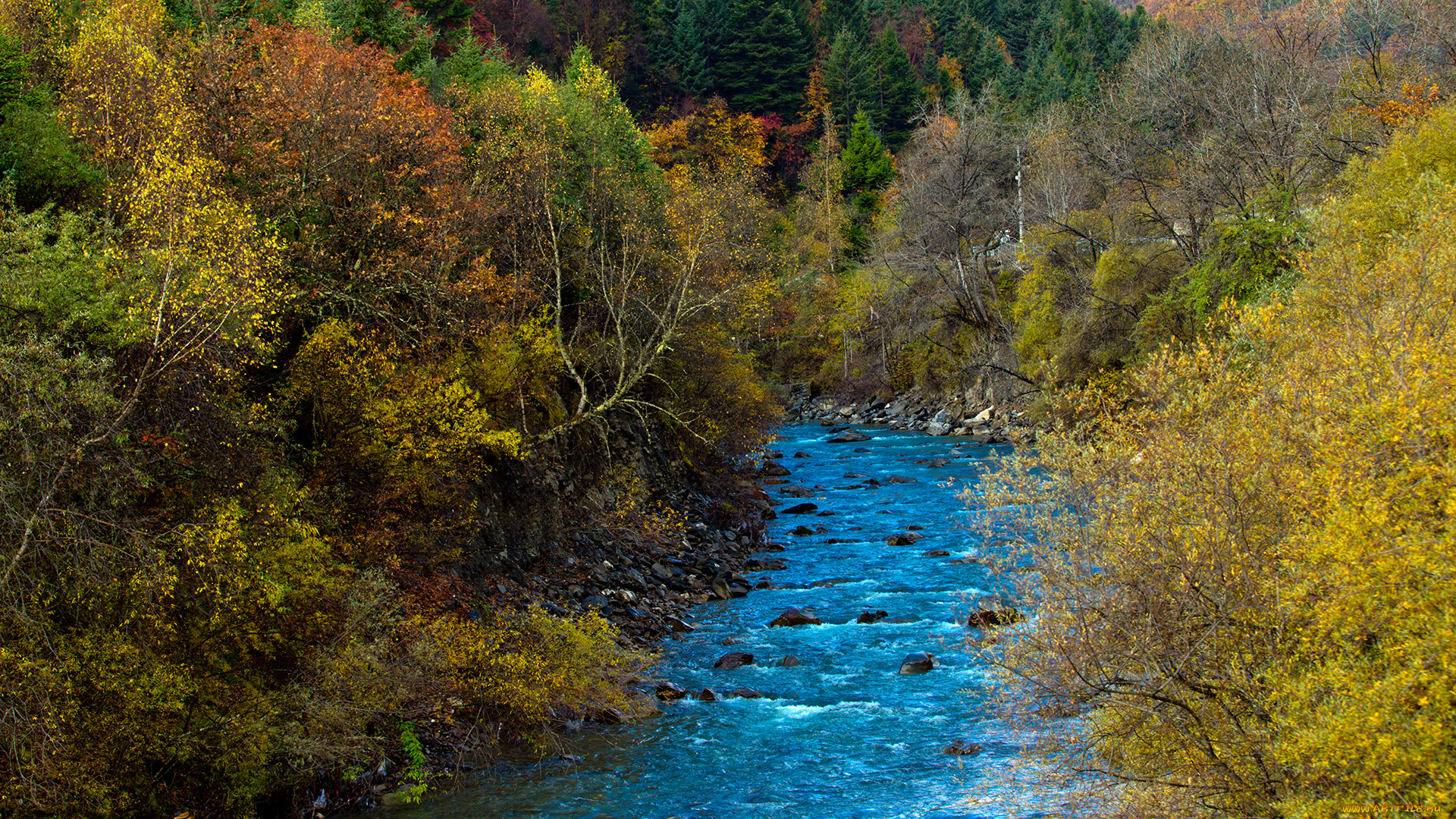 природа, реки, озера, река