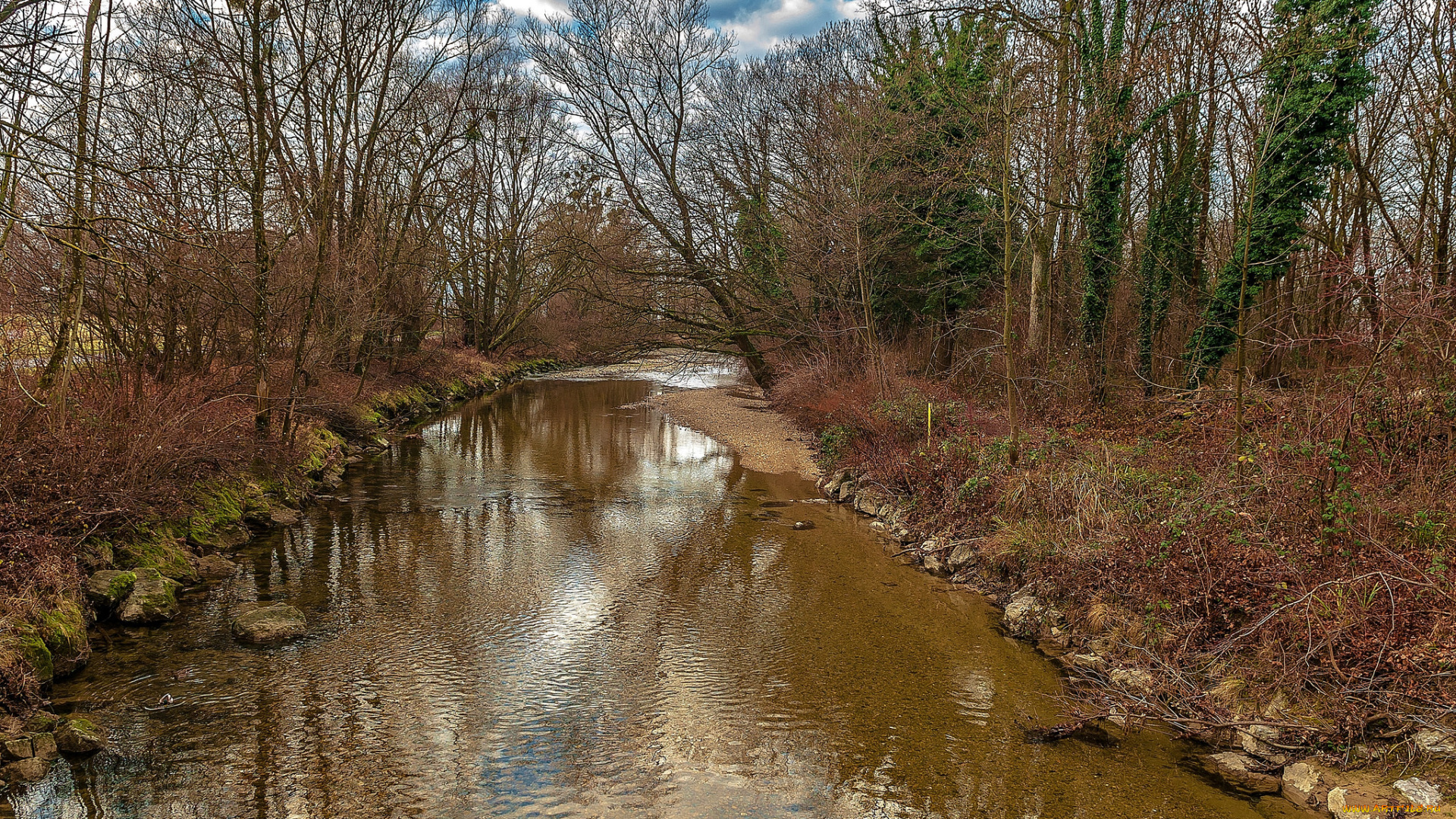 природа, реки, озера, река, лес