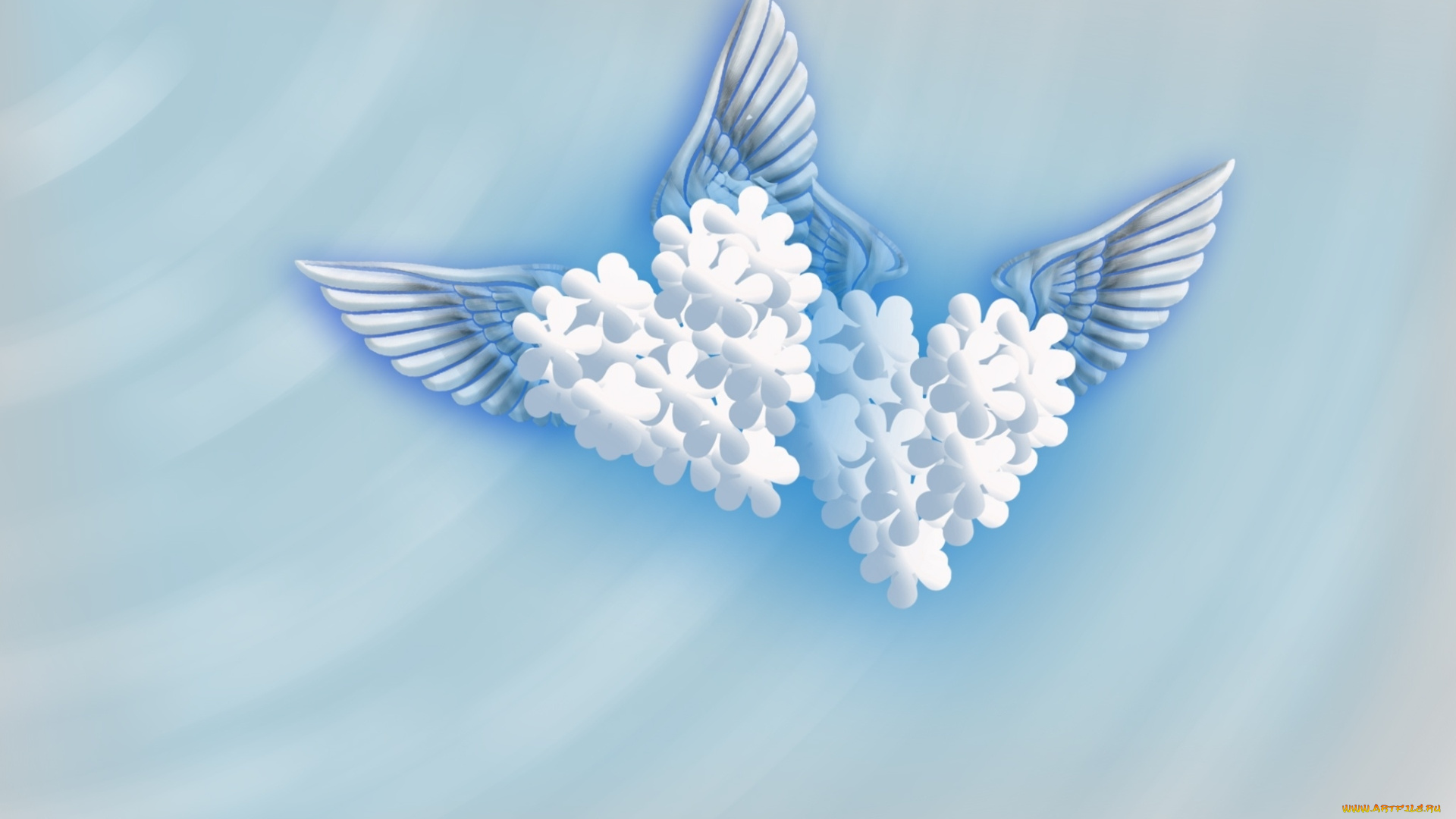 векторная, графика, цветы, , flowers, цветы