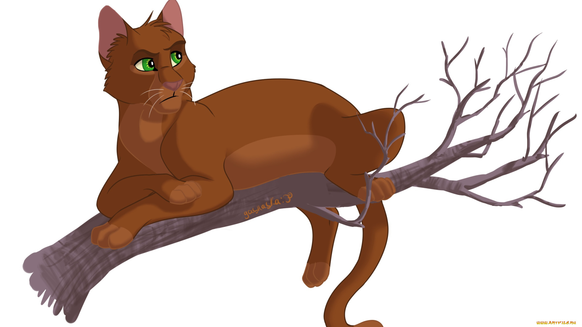 векторная, графика, животные, , animals, кот, взгляд, фон