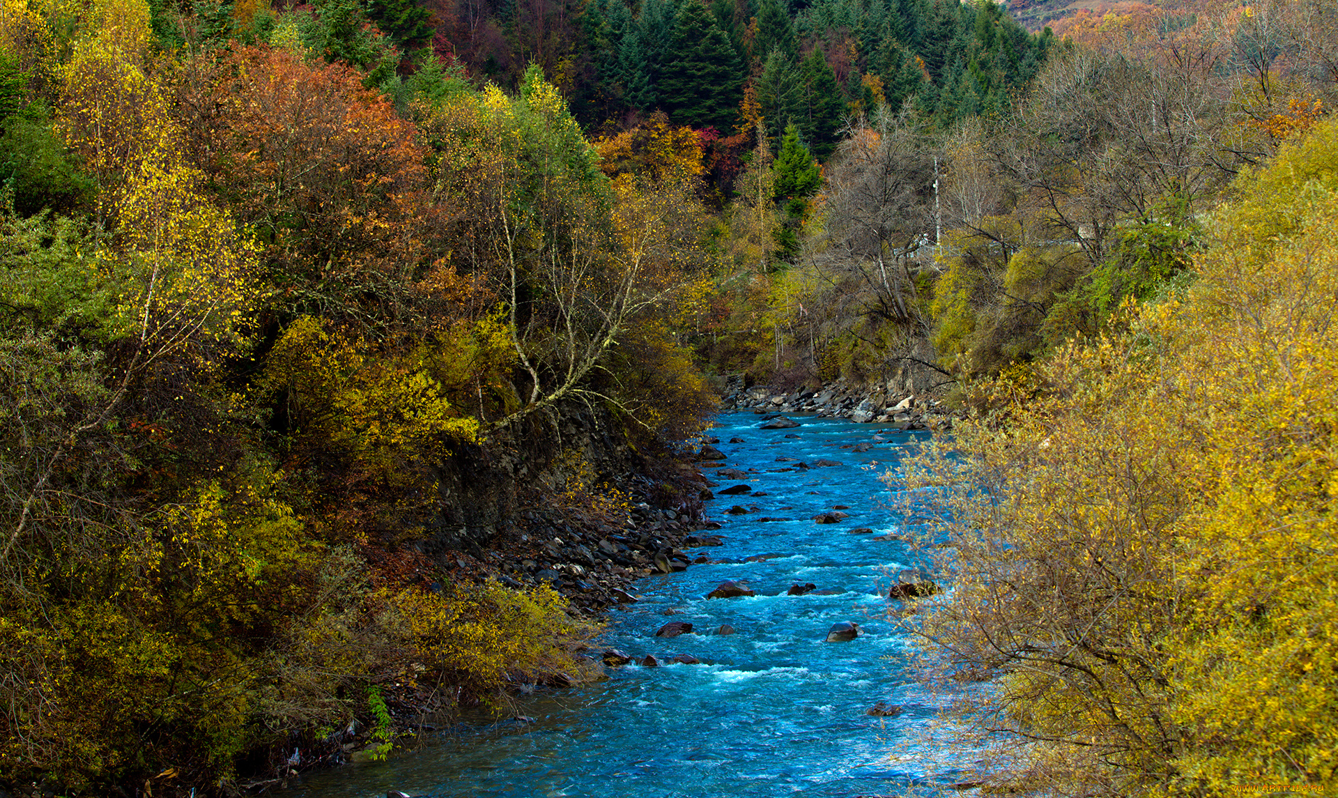 природа, реки, озера, река