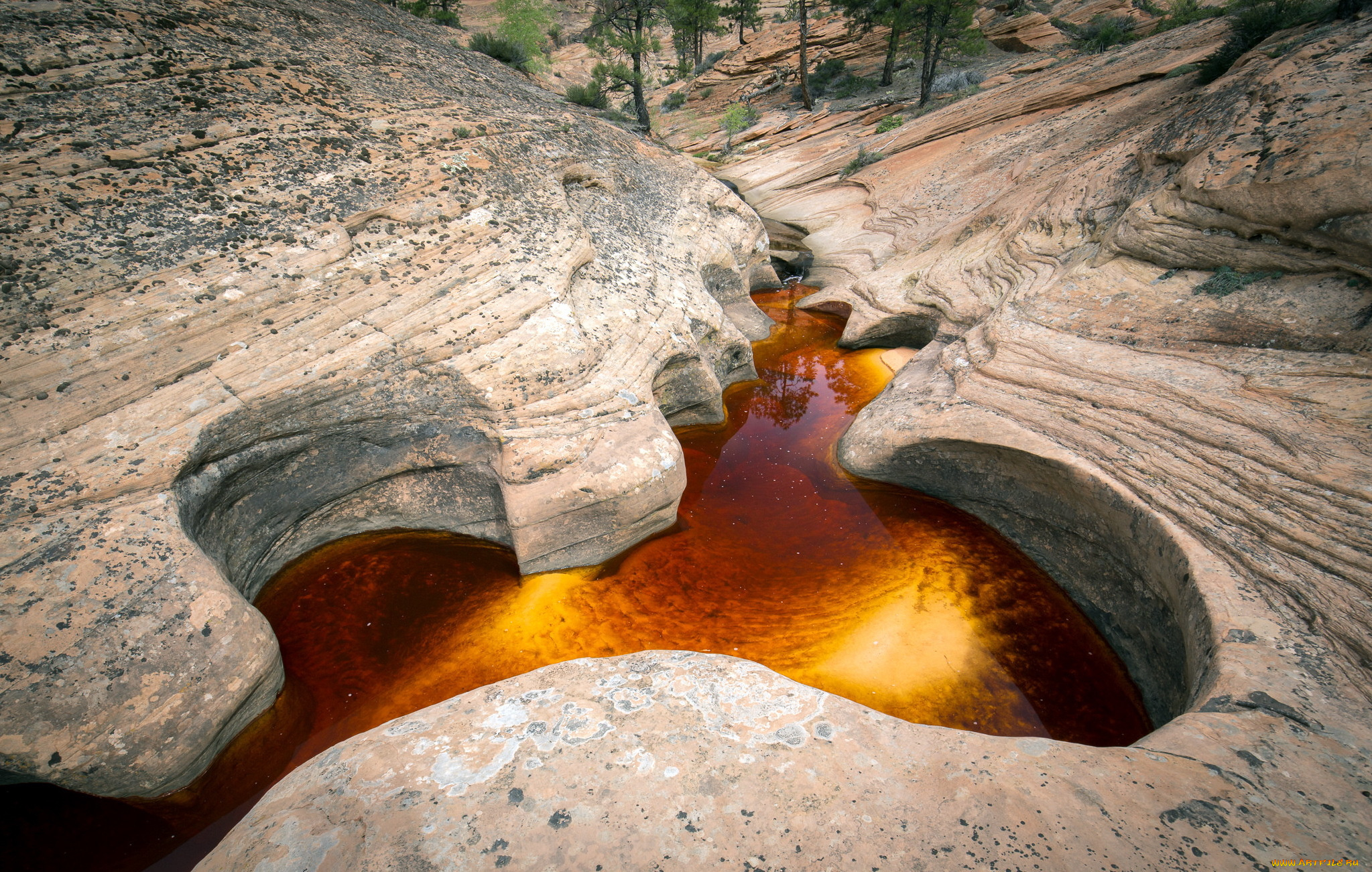 природа, реки, озера, горы, река