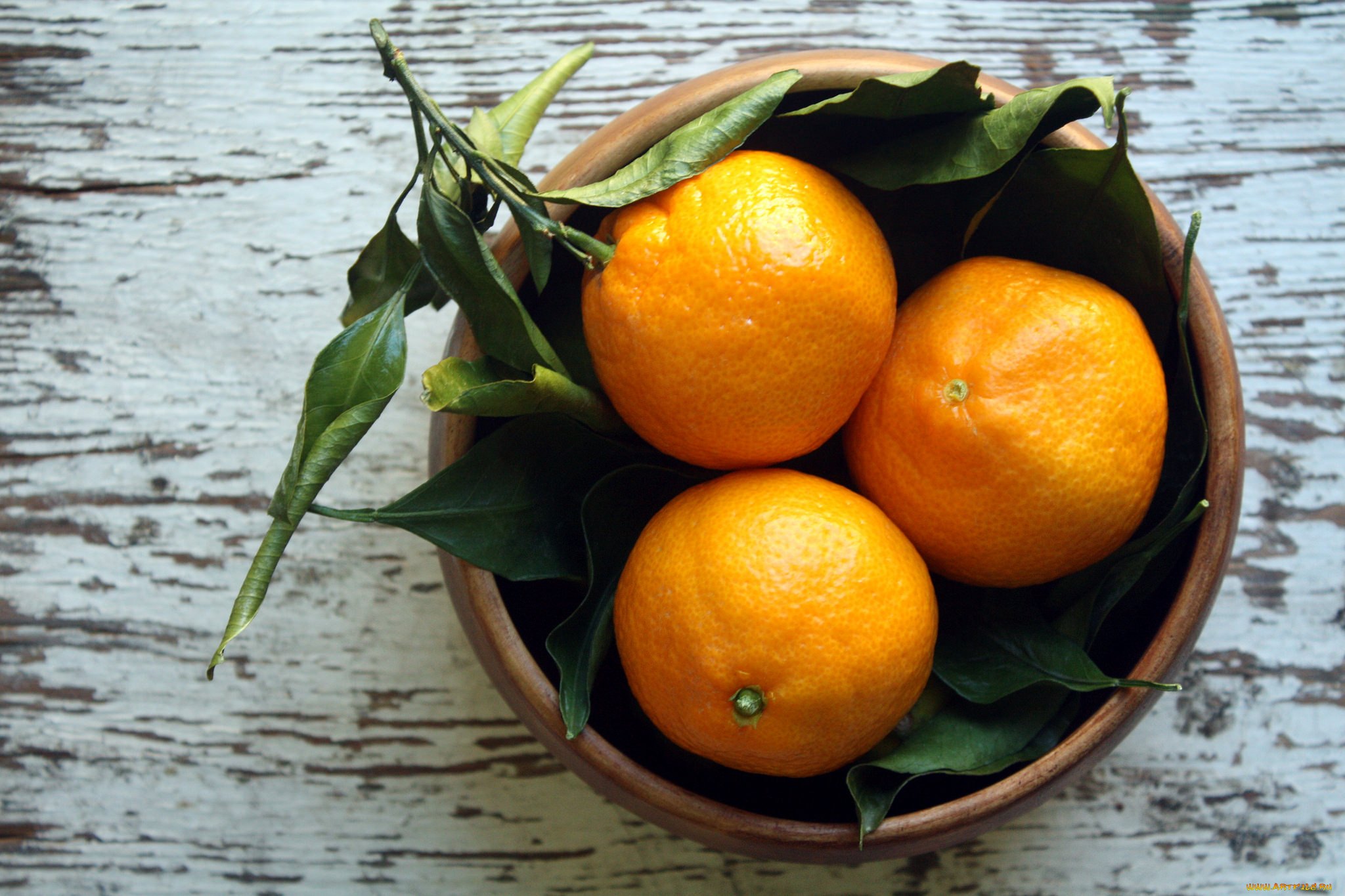 еда, цитрусы, апельсины