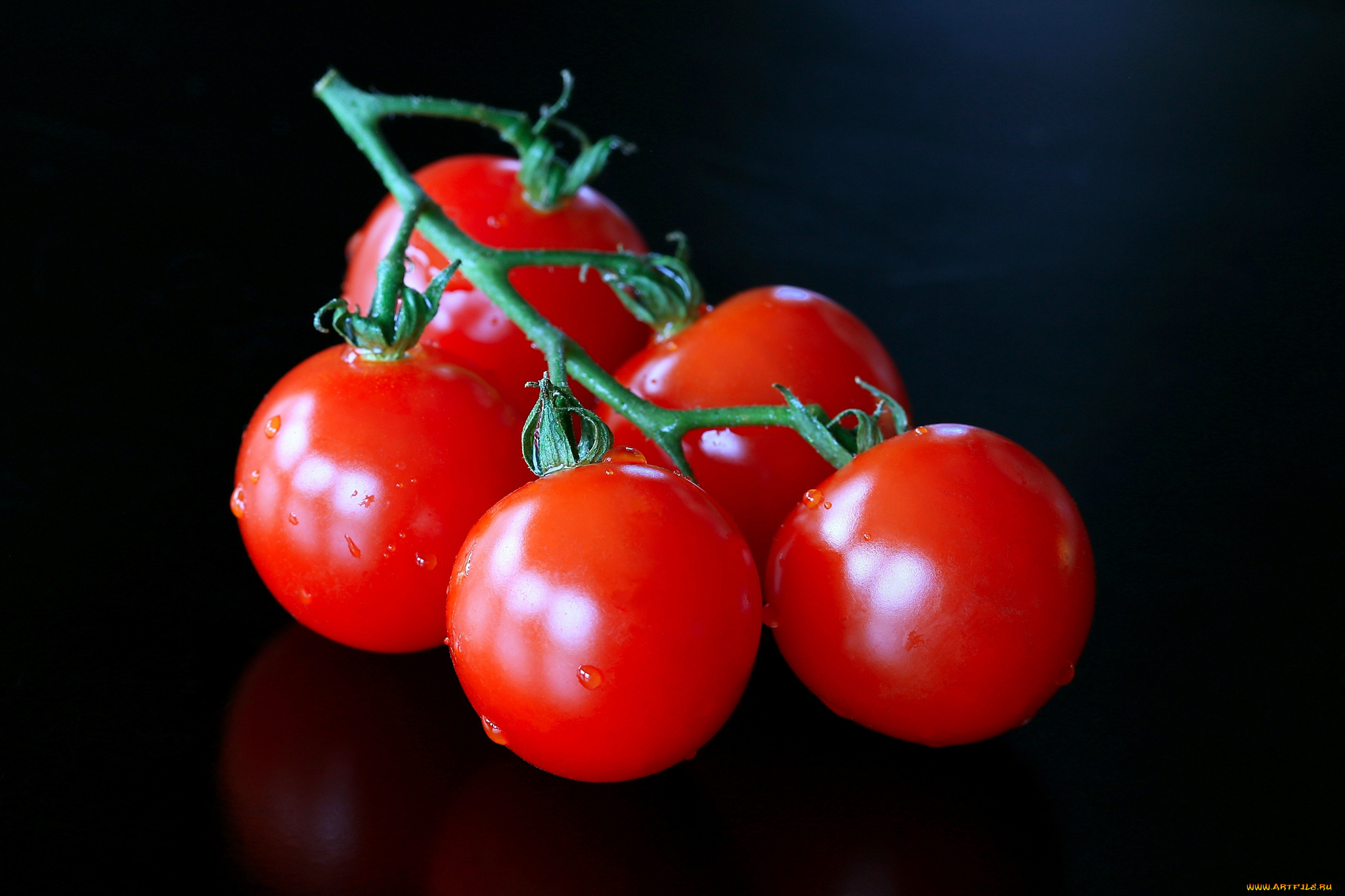 еда, помидоры, томаты