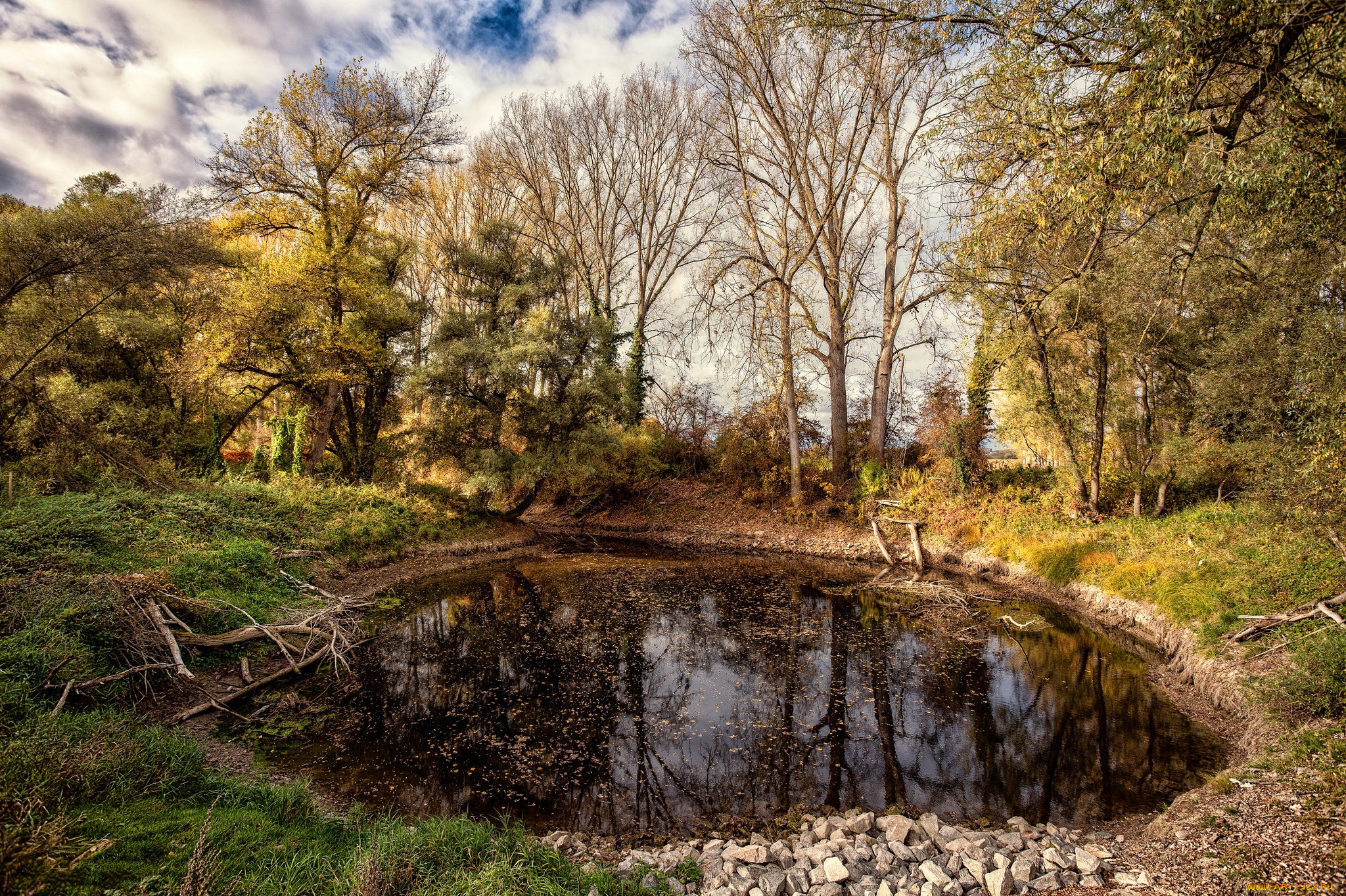 природа, реки, озера, лес, река