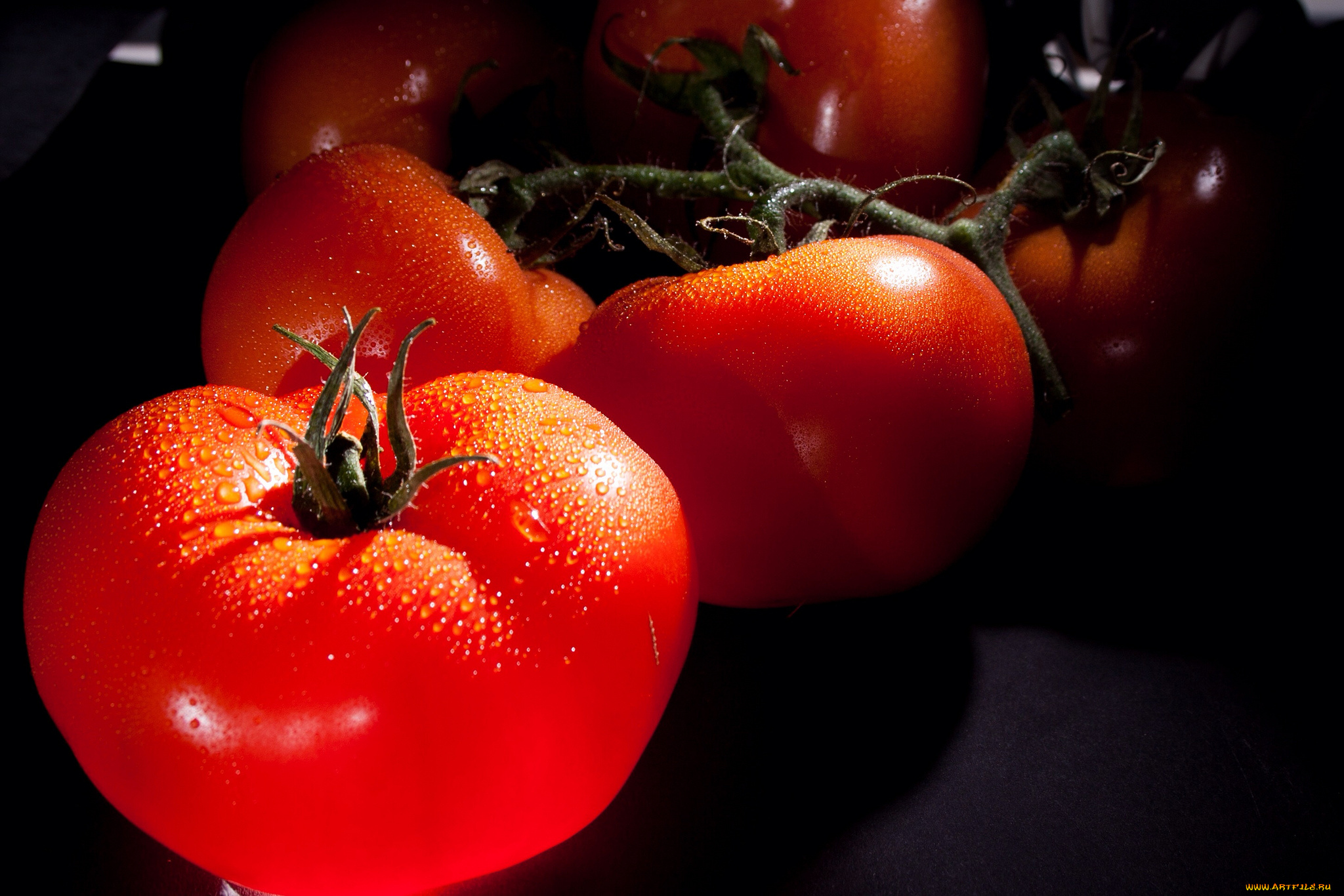 еда, помидоры, томат