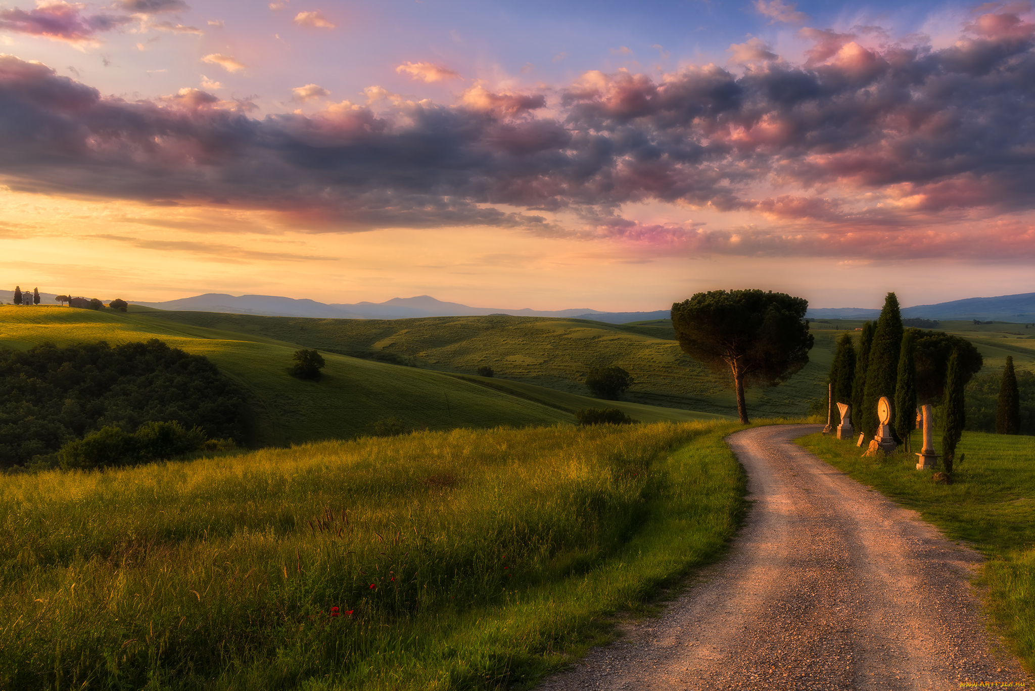 природа, дороги, утро, дорога