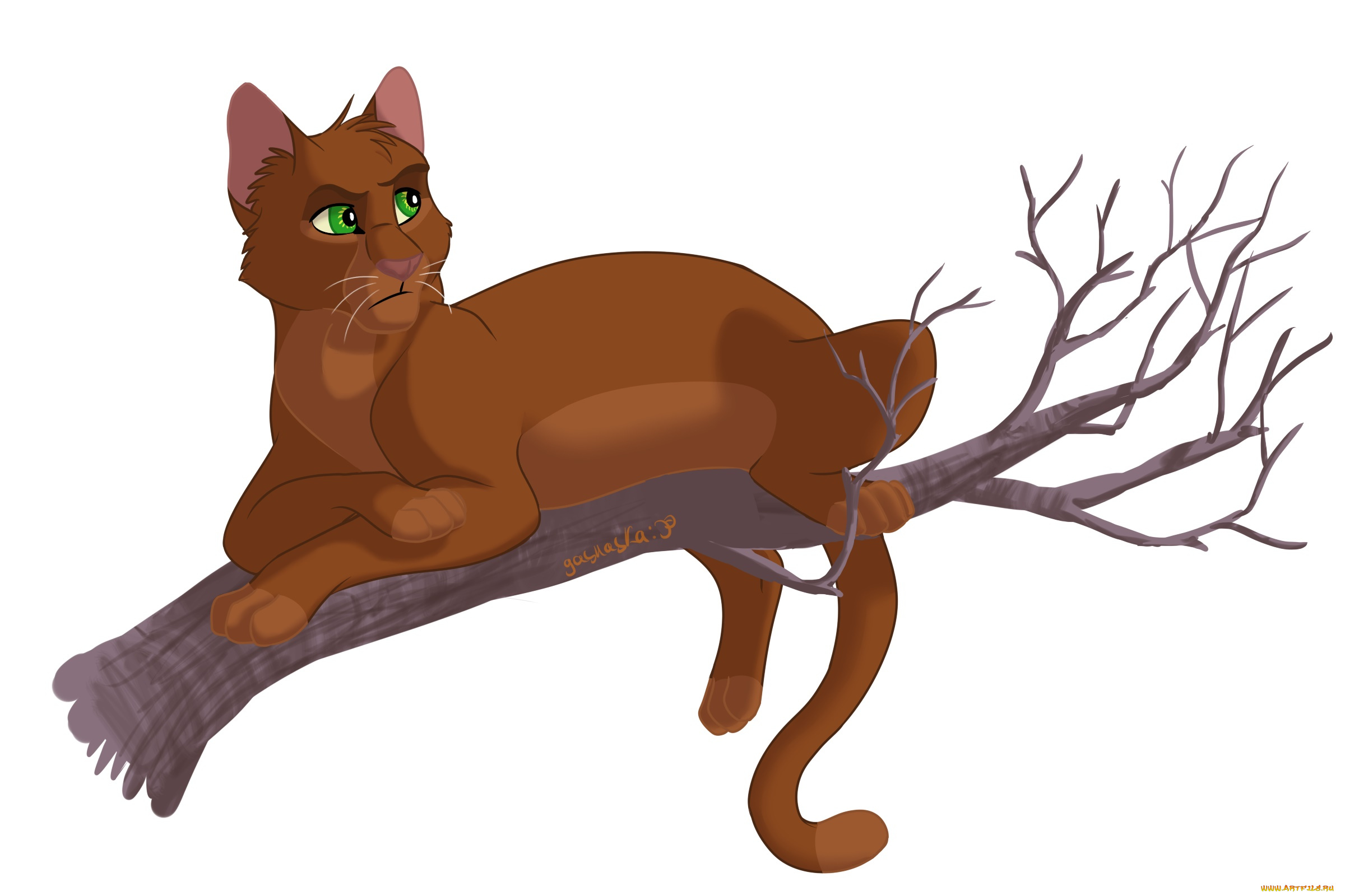 векторная, графика, животные, , animals, кот, взгляд, фон