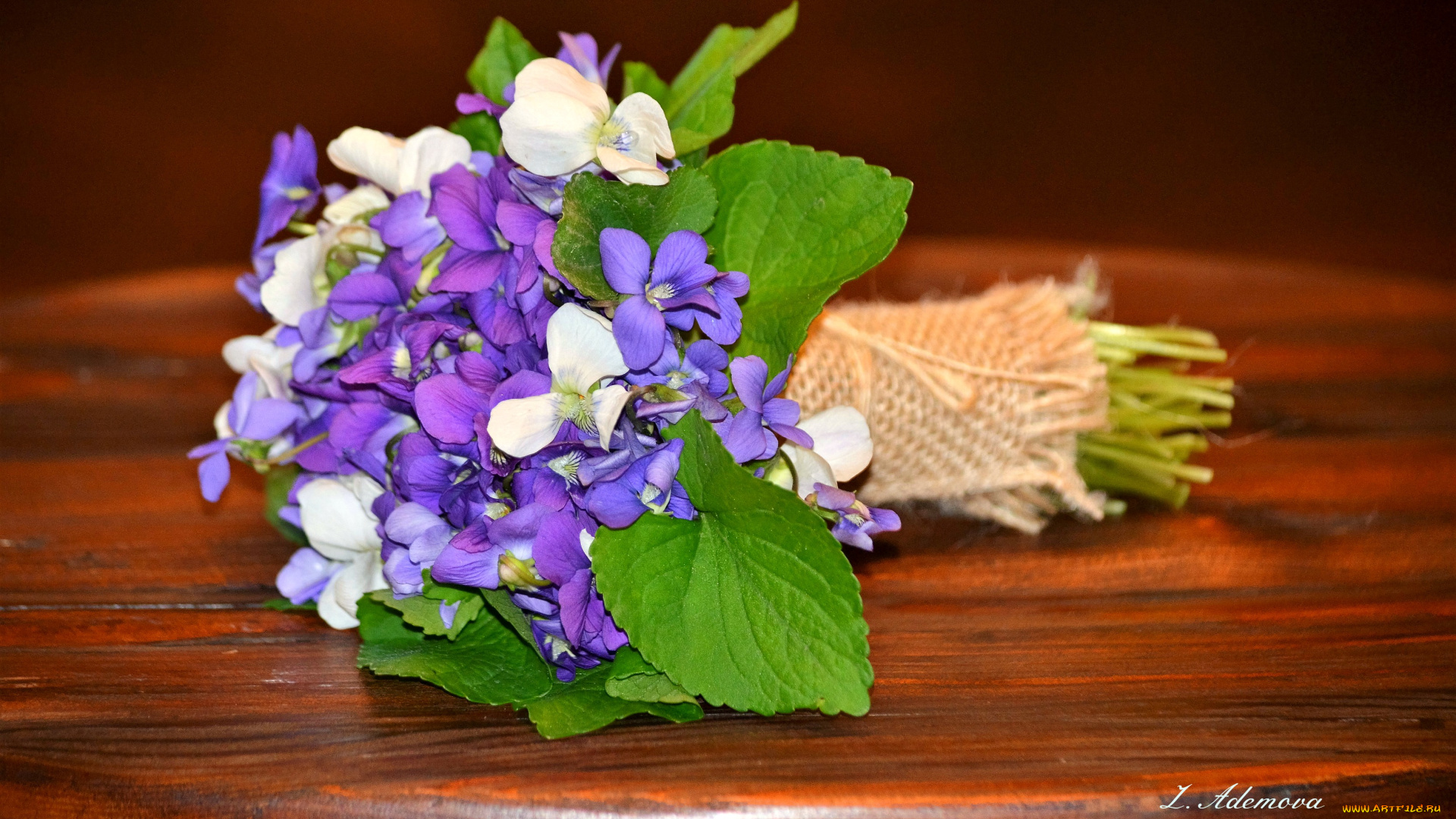 цветы, фиалки, букет, фиалка, лепестки