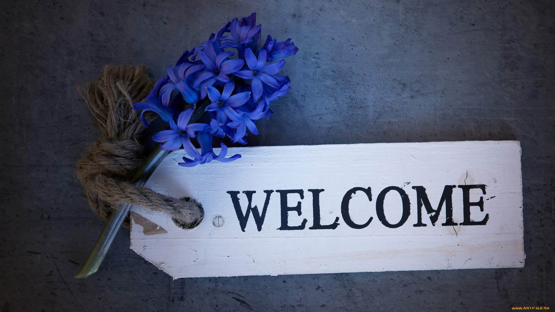 цветы, глициния, темный, веревочка, добро, пожаловать, надпись, синие, ретро, доска, фон, композиция, табличка, веточка, гиацинты