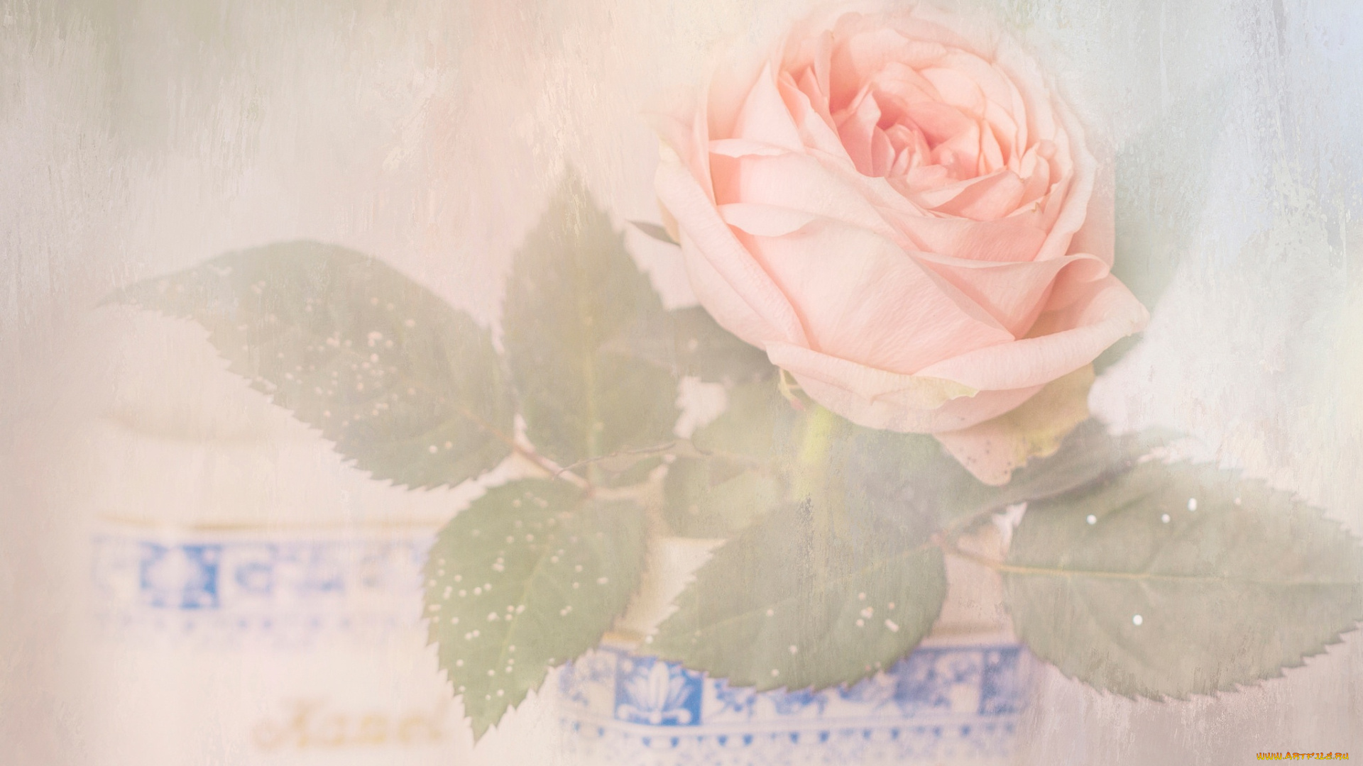 цветы, розы, бутон, растворение, арт, пастельные, тона, дымка, горшок, нежно, фон, светлый, цветок, роза, розовая, художественная, обработка, композиция, листья