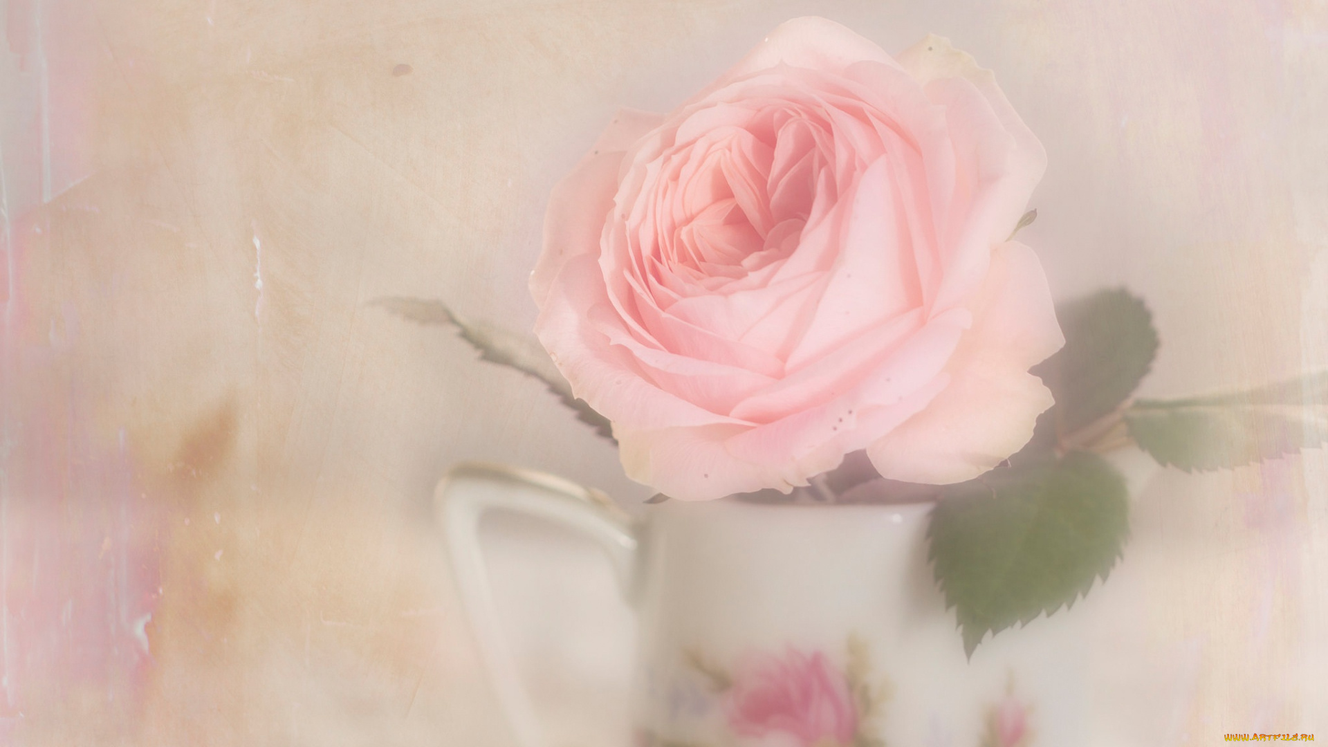 цветы, розы, размыто, листья, дымка, кувшин, фон, светлый, роза, цветок, пастельные, тона, бутон, растворение, арт, художественная, обработка, нежно