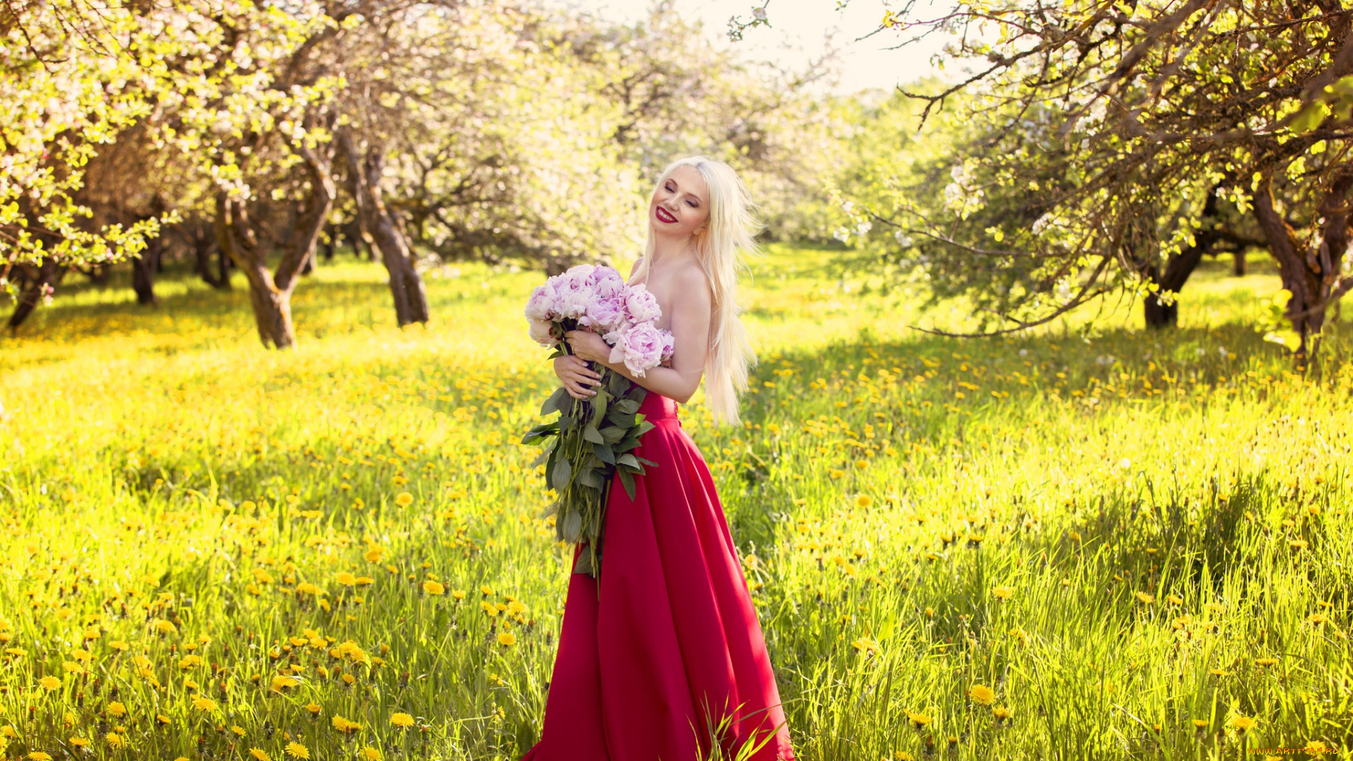 девушки, -unsort, , блондинки, розы, букет, блонди, улыбка, платье