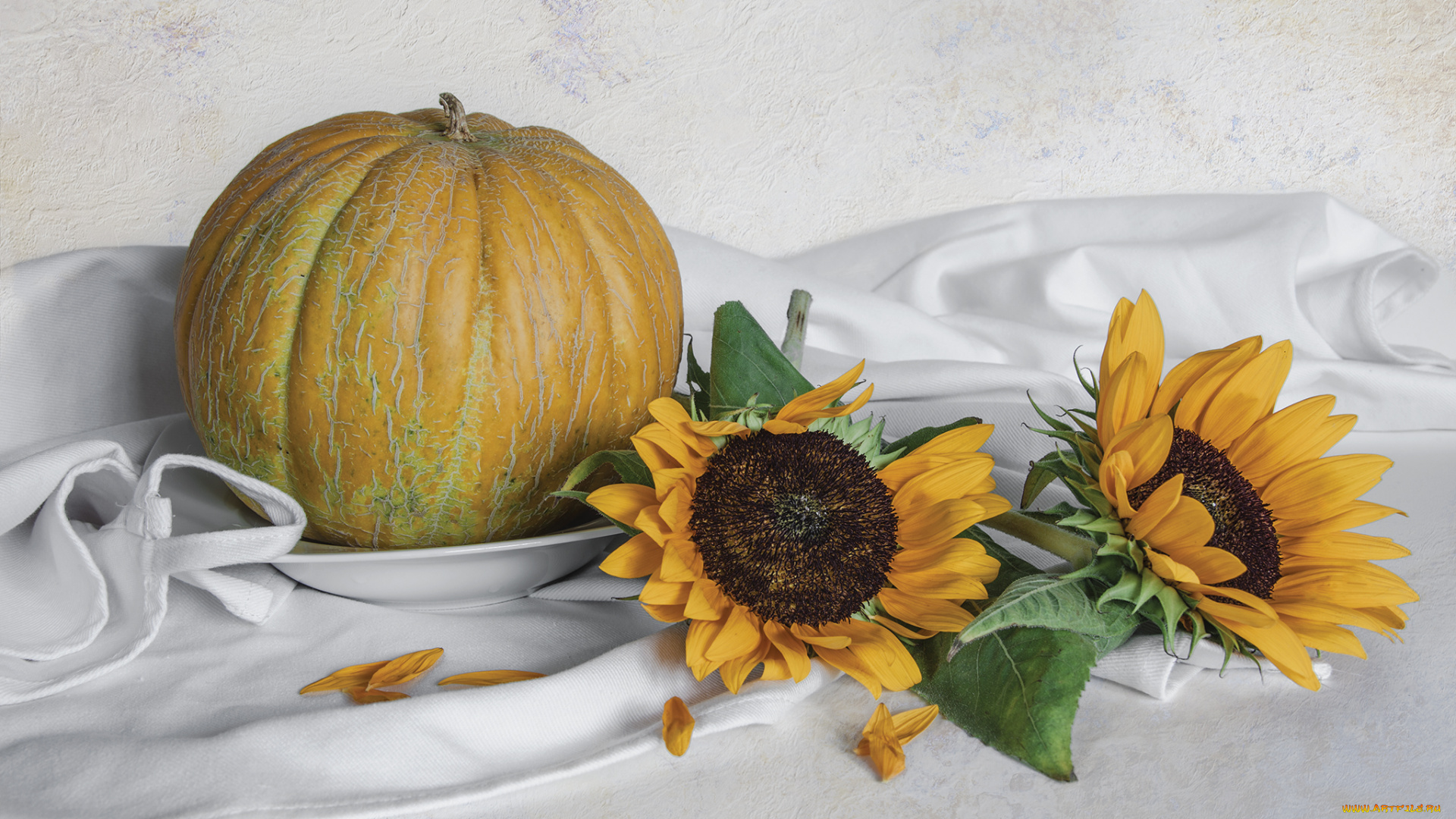 еда, дыня, натюрморт, цветы, тыква