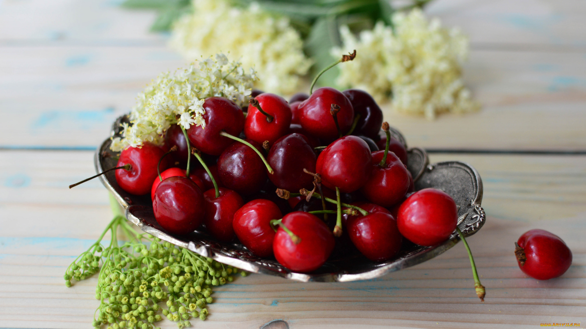 еда, вишня, , черешня, спелая, черешня, вкусная, сочная