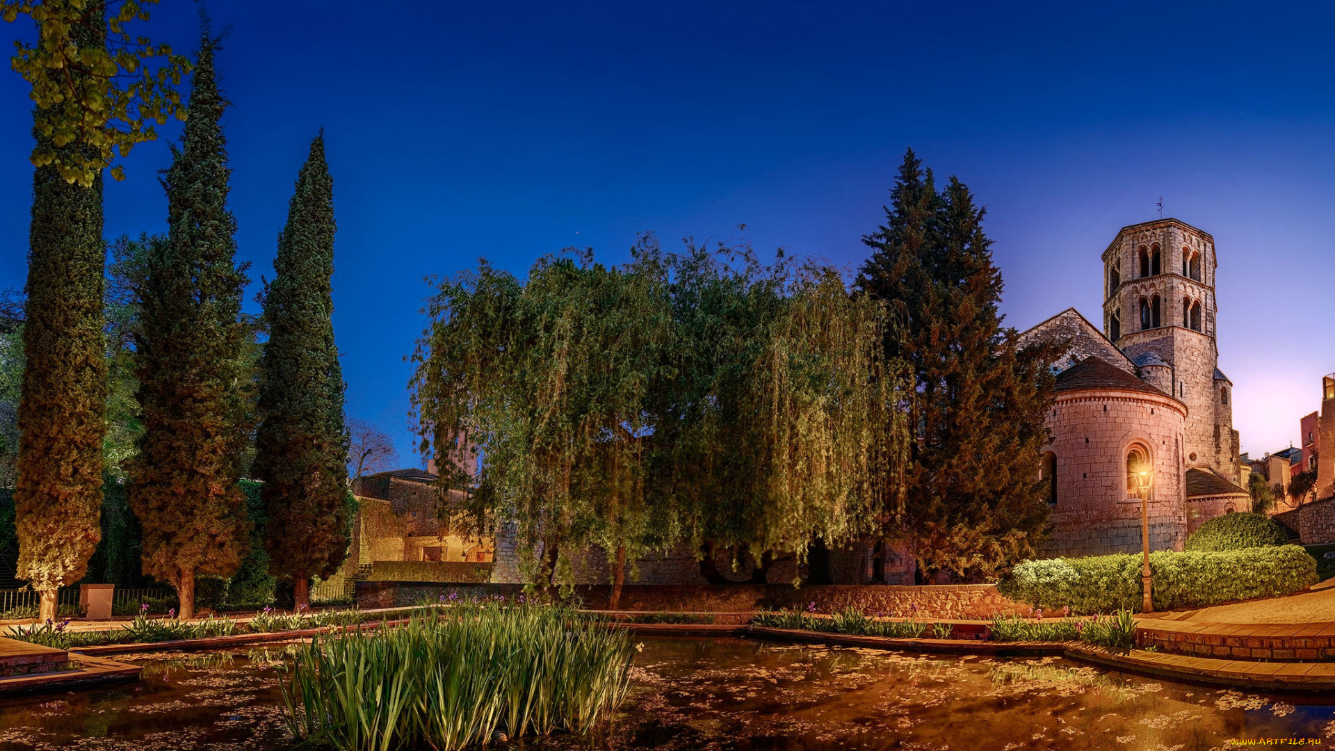 города, -, дворцы, , замки, , крепости, деревья, пруд, ночь, фонарь