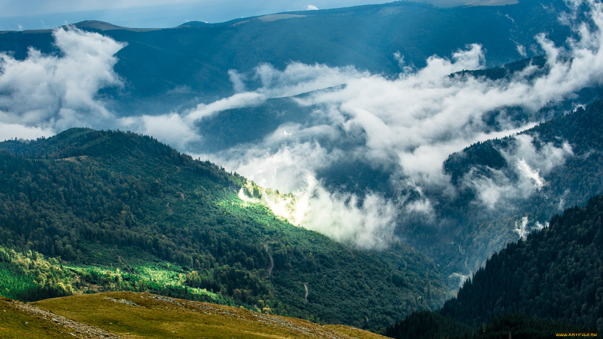 природа, горы, румыния, вид, сверху, облака, солнце, лес