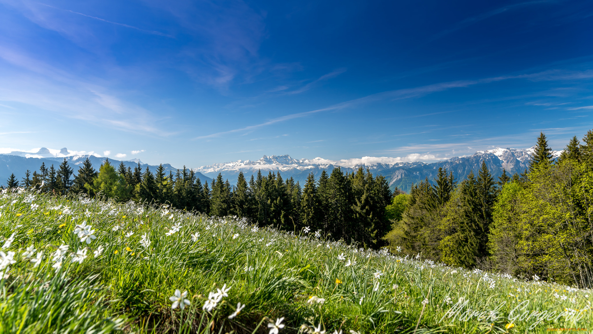 природа, луга, простор