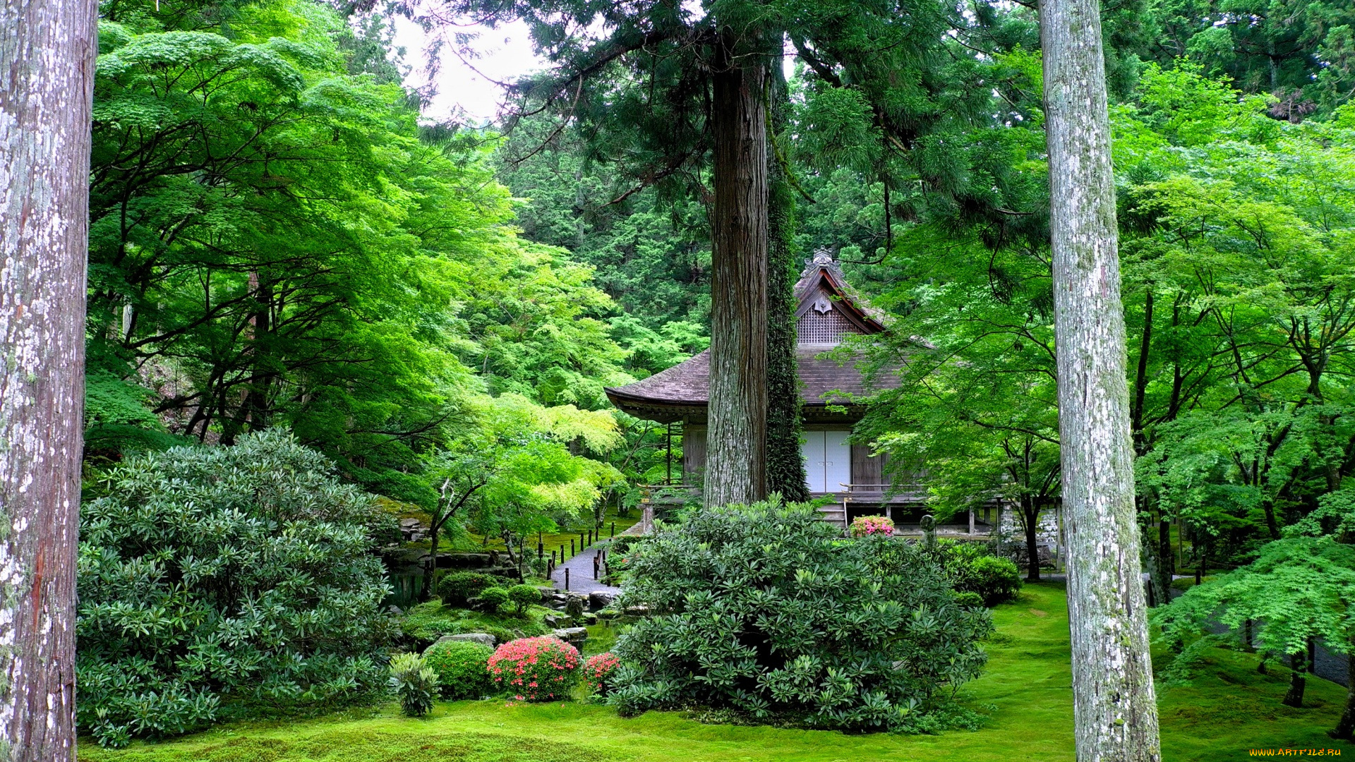 природа, парк, деревья, дом