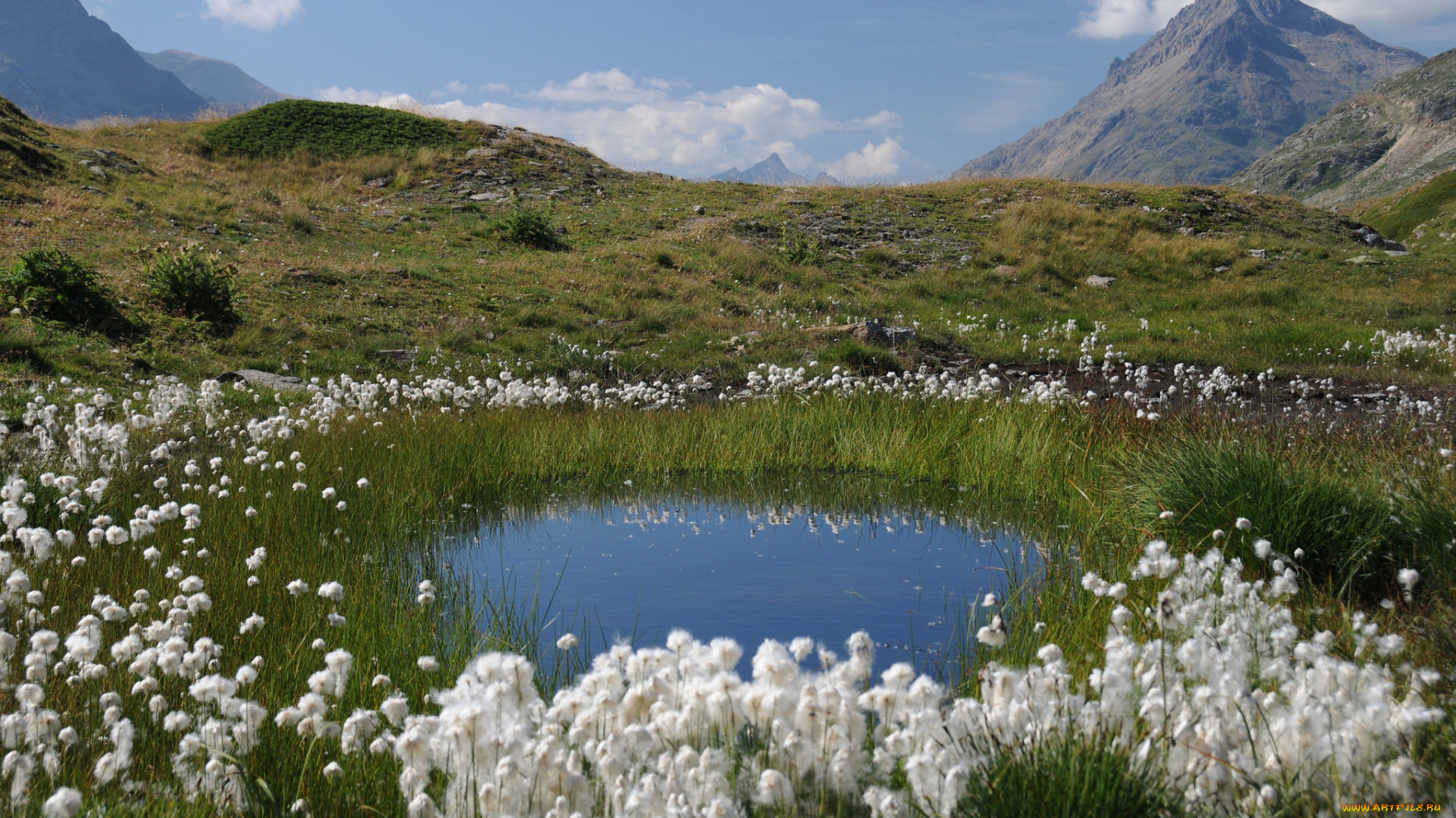 природа, пейзажи, простор