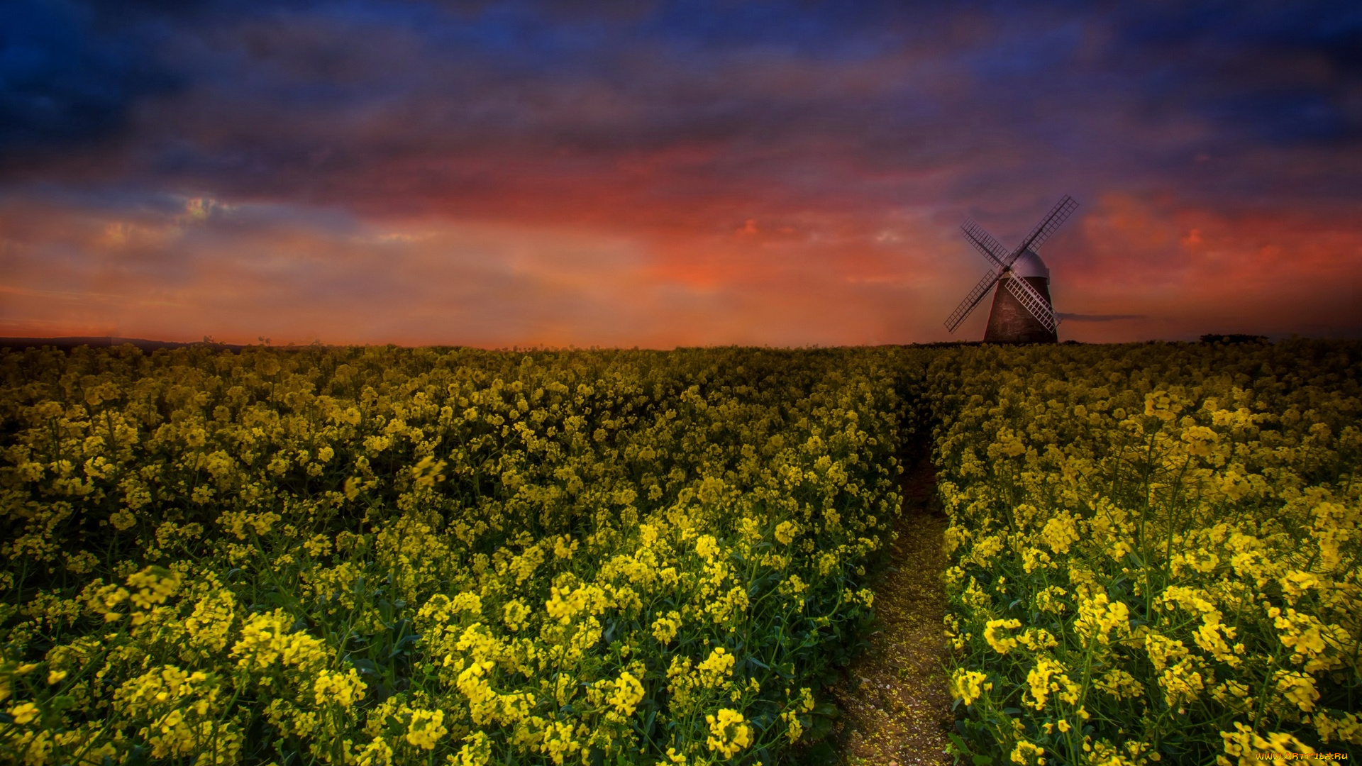 природа, поля, трава, закат, мельница
