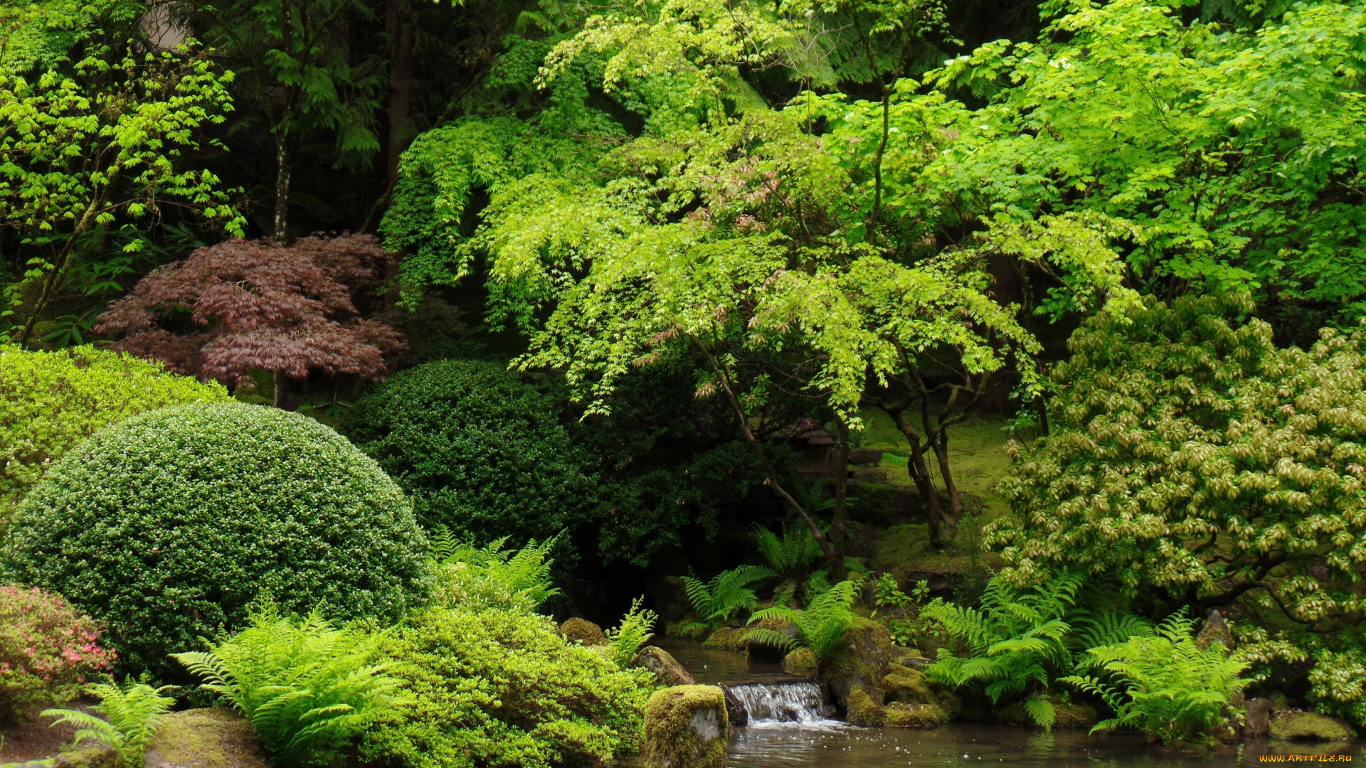 природа, реки, озера, кусты, деревья, вода