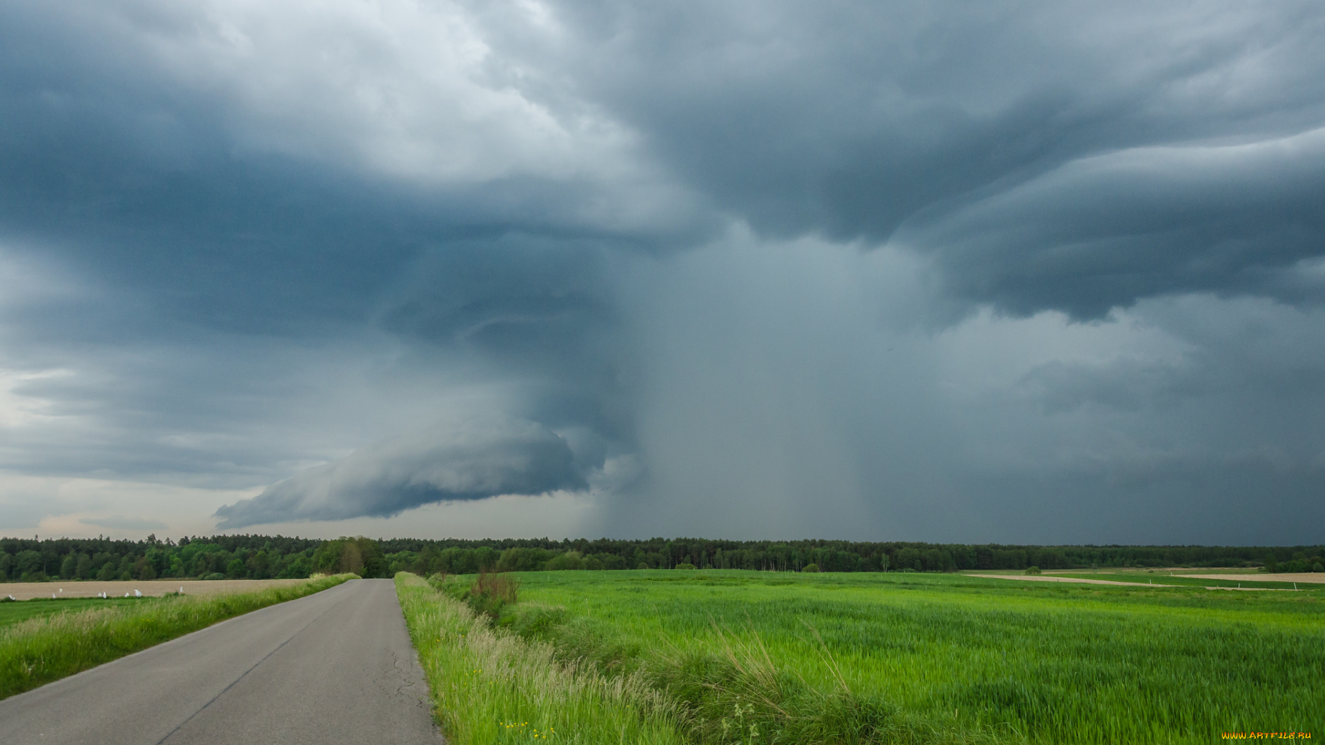 природа, стихия, простор