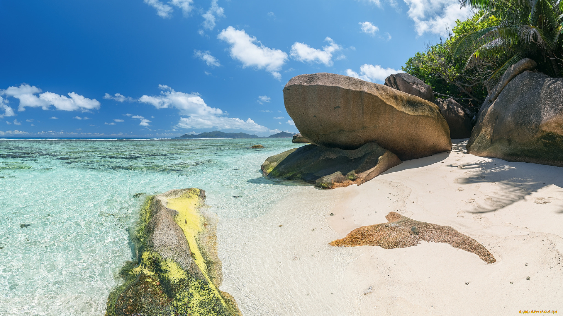 природа, тропики, океан, острова