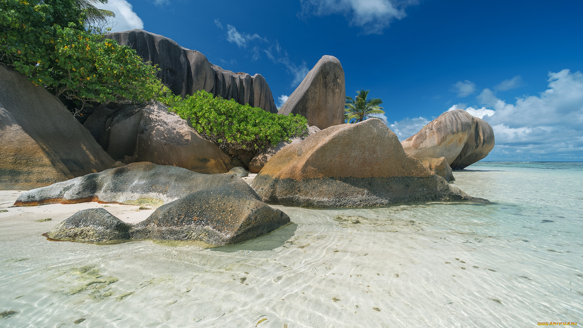 природа, тропики, острова, океан