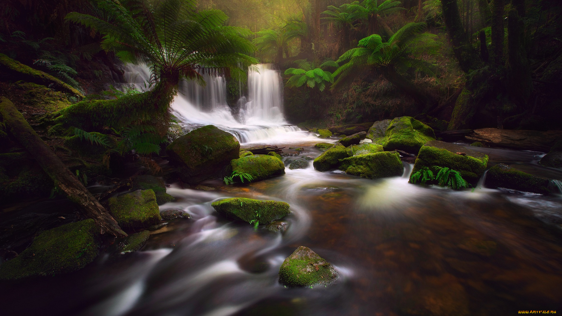 природа, водопады, лес, поток, камни