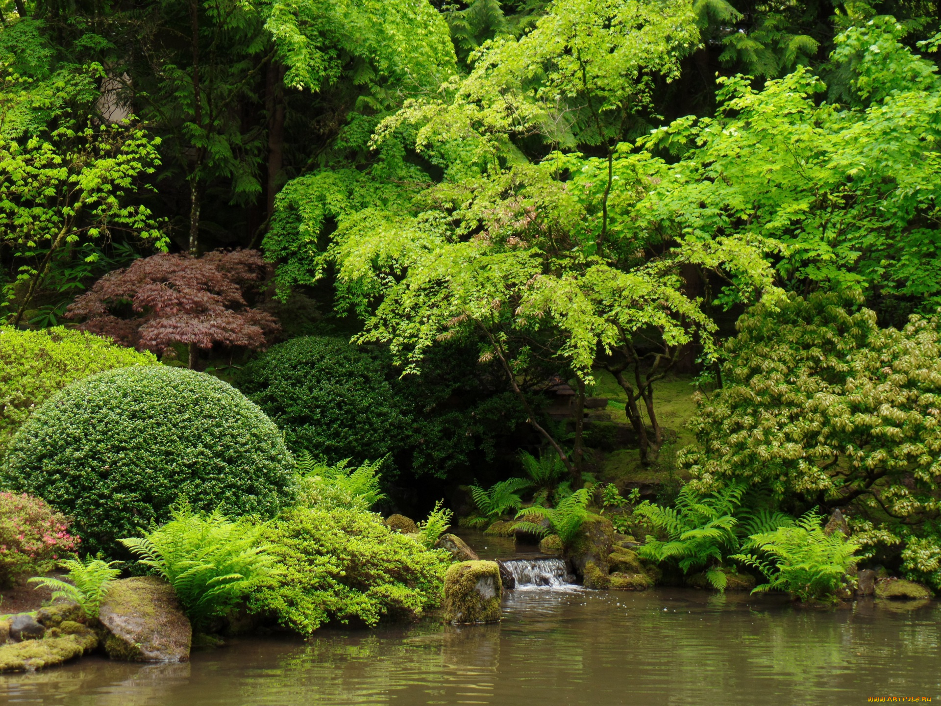 природа, реки, озера, кусты, деревья, вода